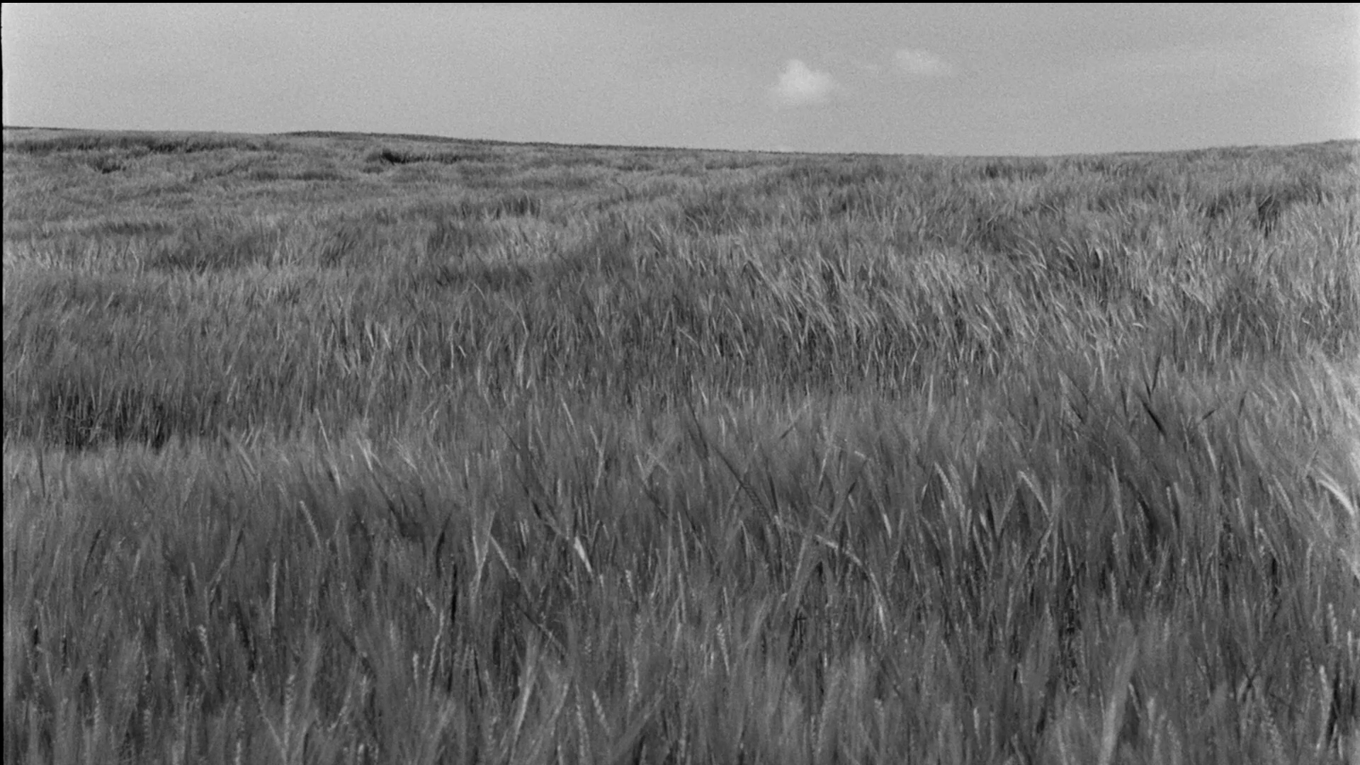 Black and white photo of a wide open grassy field under a partly cloudy sky.