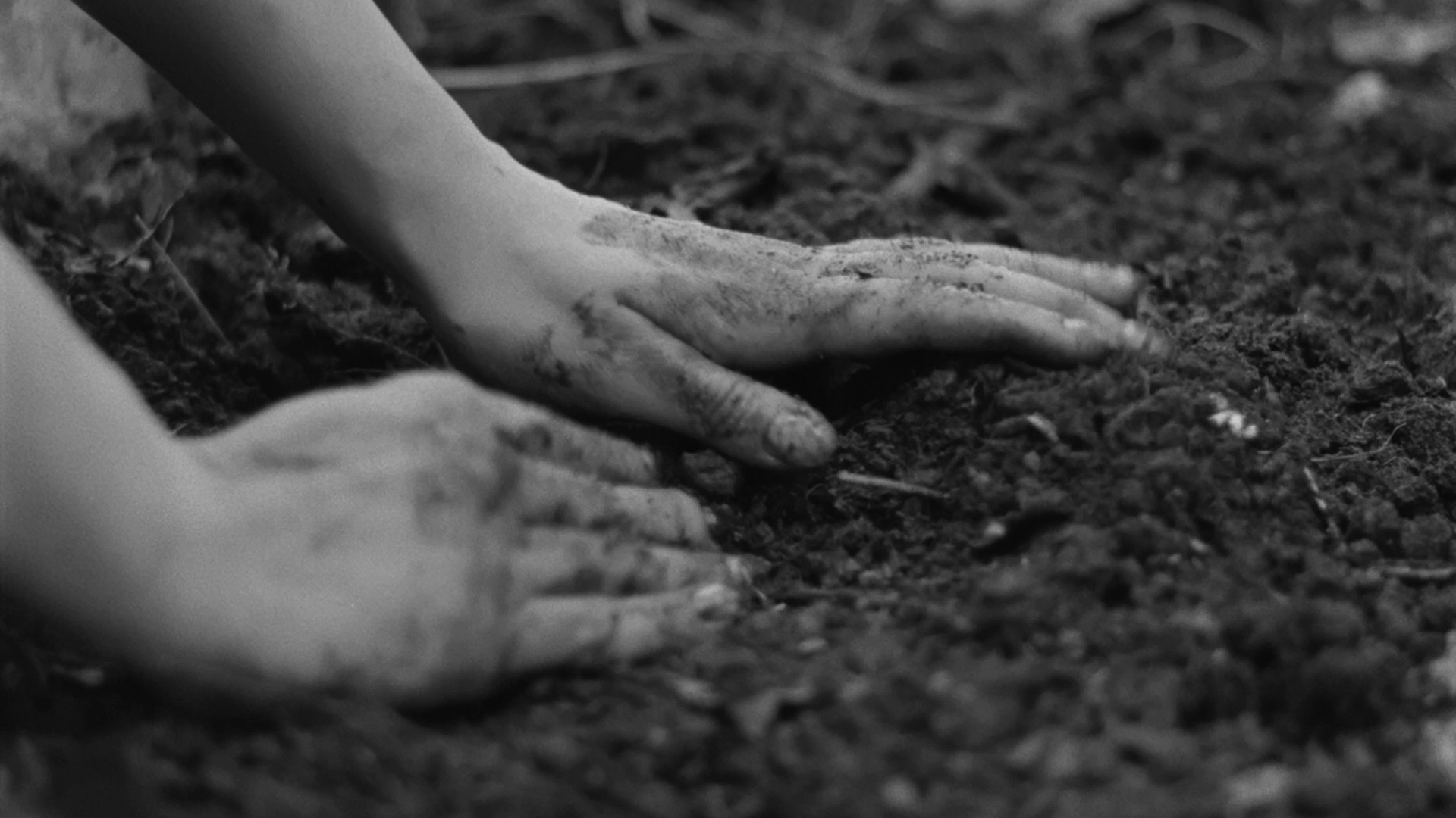 Black and white photo of two hands planting or tending to soil, with dirt on the hands.
