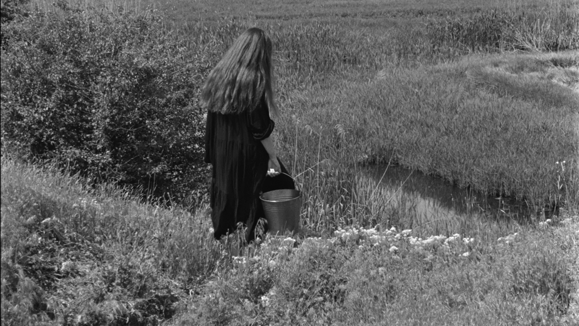 A woman with long hair is standing beside a small pond in a grassy field, holding a bucket.