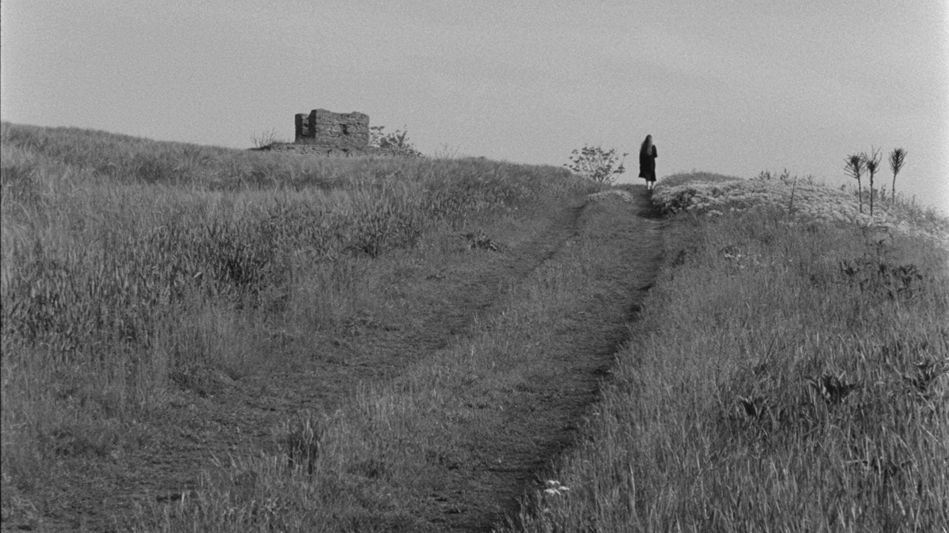 A black-and-white photo of a person walking on a dirt path up a grassy hill towards a small structure and some trees in the background.