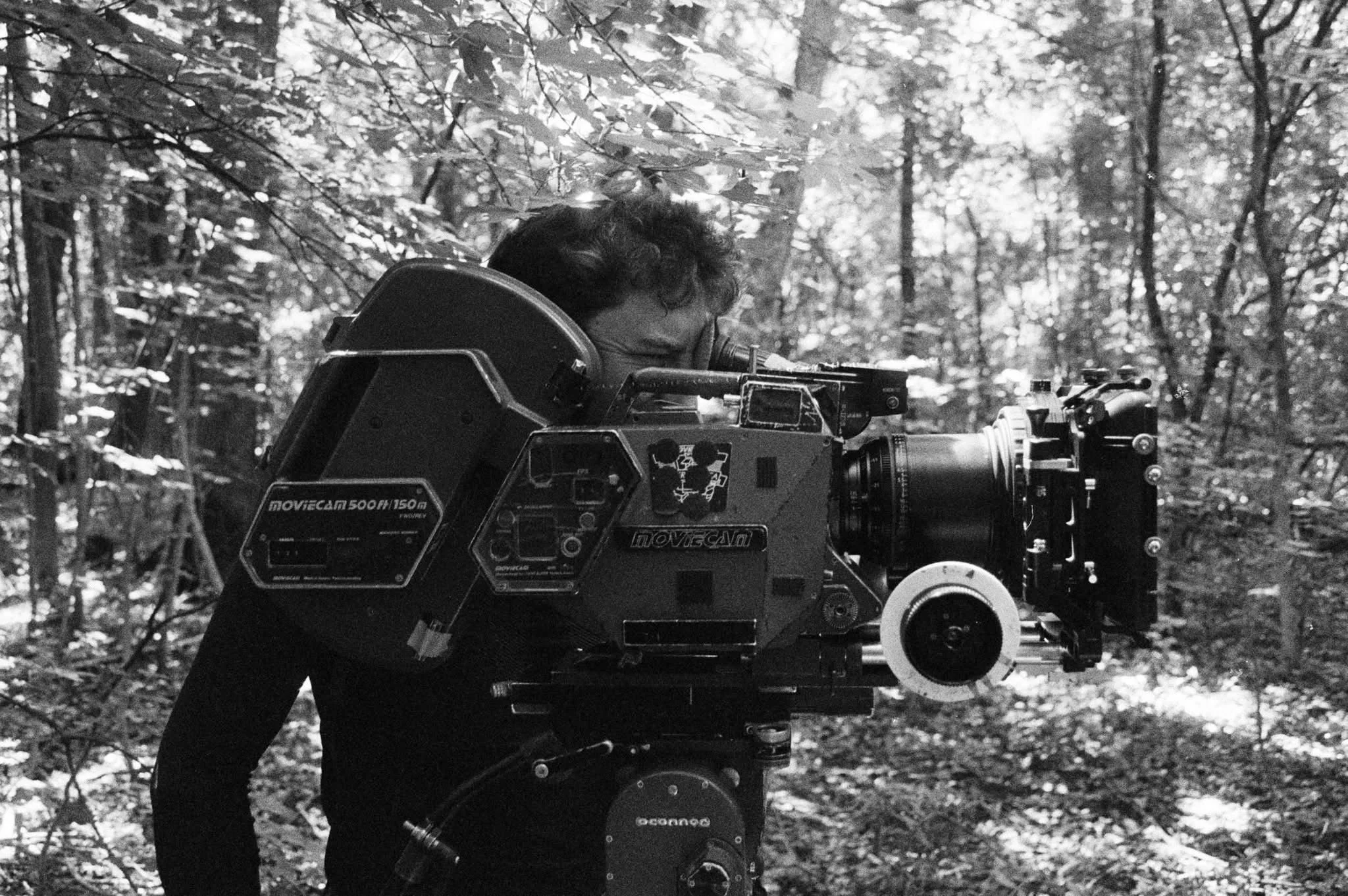 A person operating a movie camera in a forest setting.