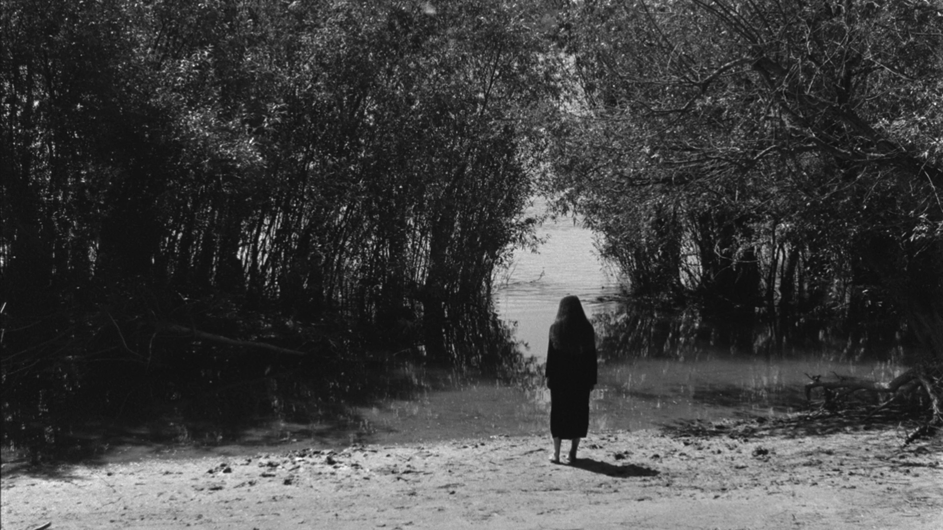 A black-and-white photo of a woman standing at the edge of a body of water, surrounded by dense trees and foliage, facing toward the water.