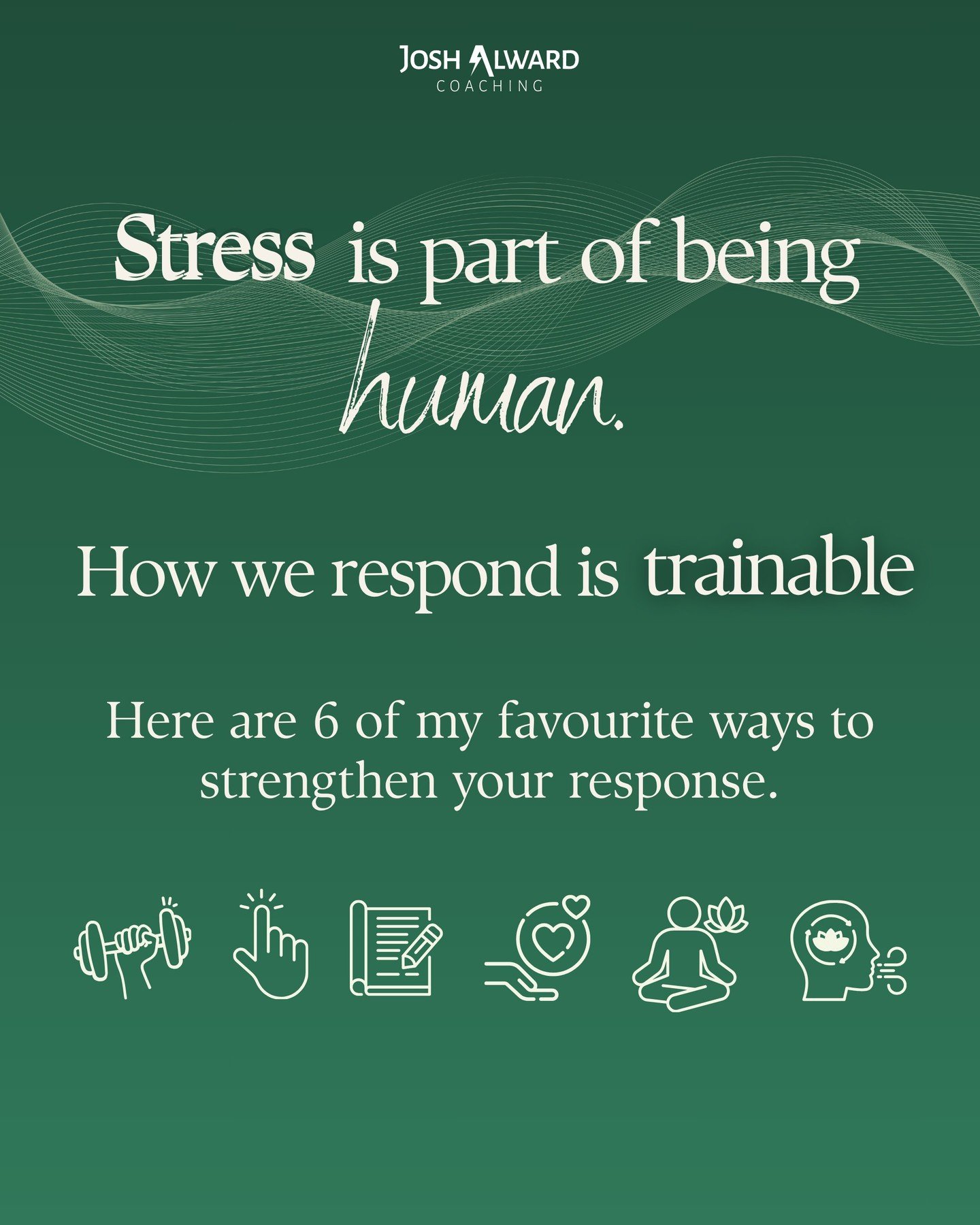 Anyone here get a bit stressed at times? Perhaps especially when doing things that really matter to you? (Not to mention when thinking about what's going on in the world, your place within it, and you know, the other things?)

As we probably all know