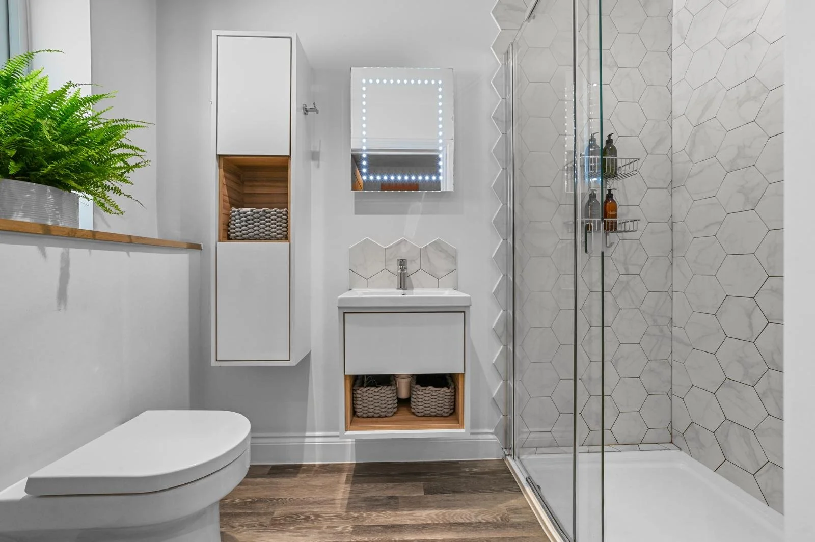 PHOTO-2026-02-18-19-43-37 3.jpg