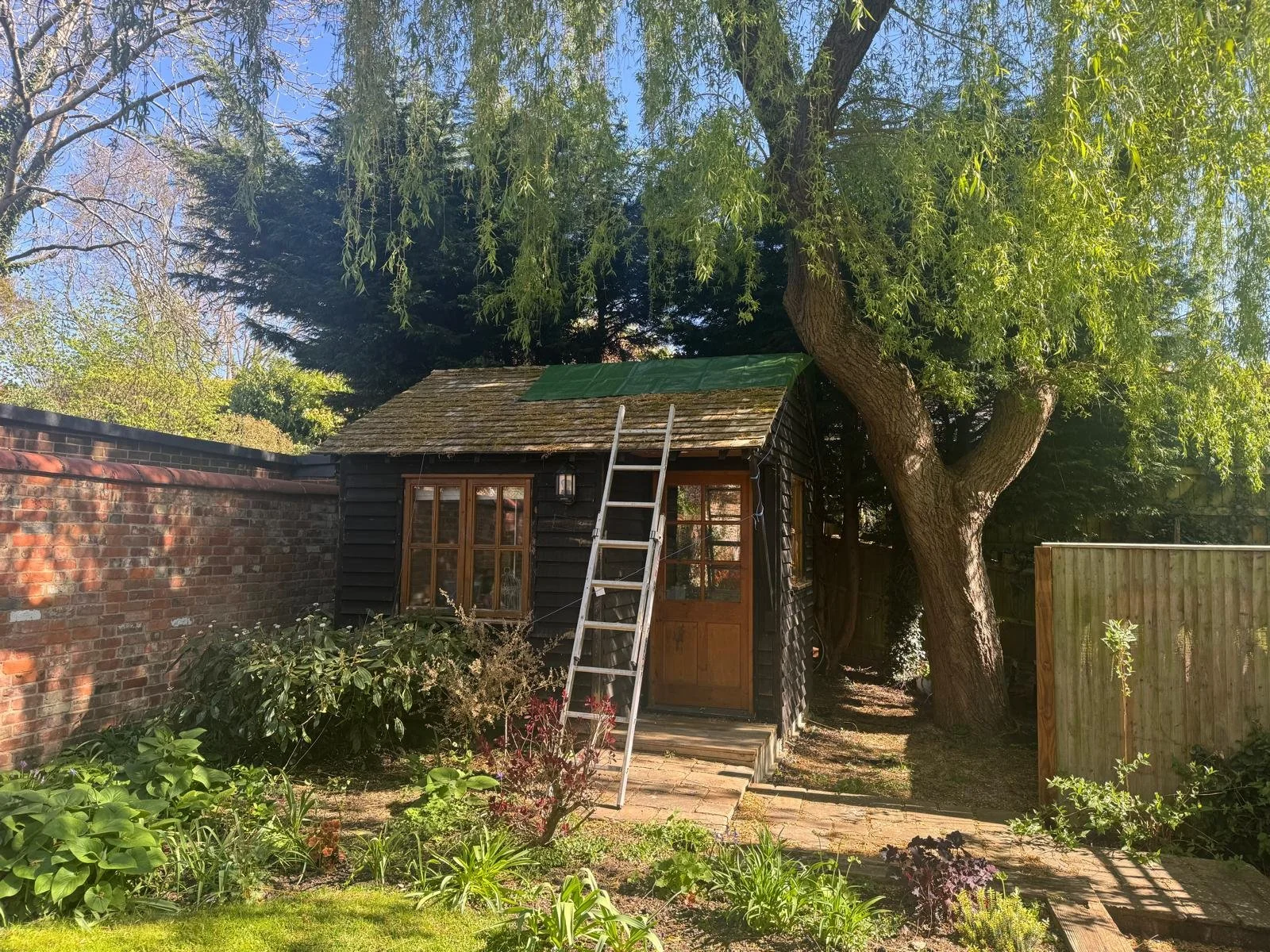 A small black wooden garden shed with a glass paneled door and window, situated next to a large tree with green foliage, in a garden with various plants and a brick pathway.
