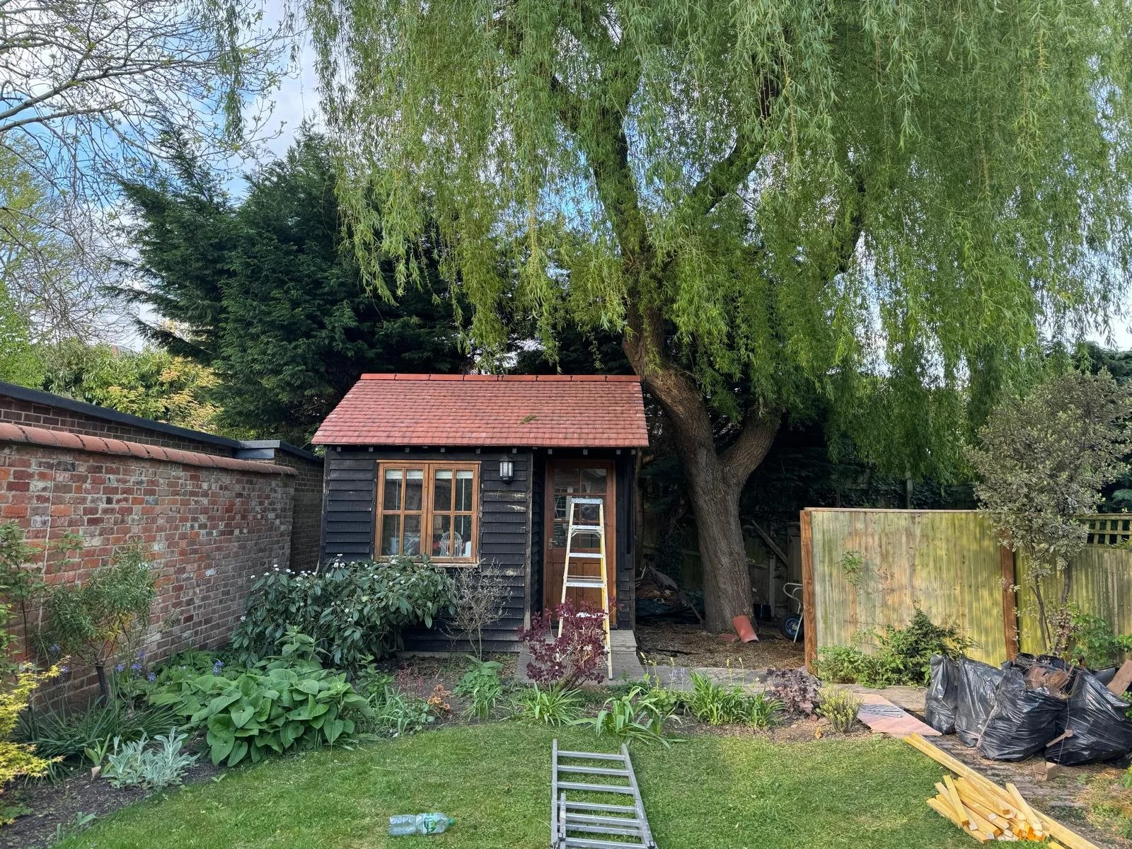 Small black wooden shed with a red shingle roof, a ladder leaning against it, and surrounding gardening tools, plants, and bushes in a backyard garden with a large tree and a brick wall.