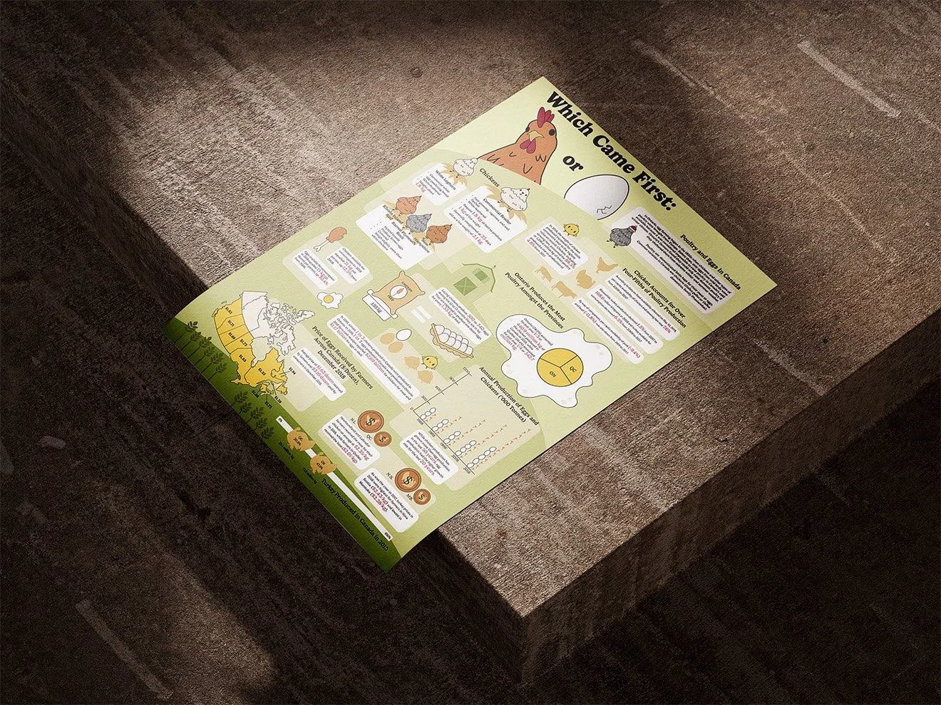 Infographic titled "Which Came First, the Chicken or the Egg" lying on a dark background.