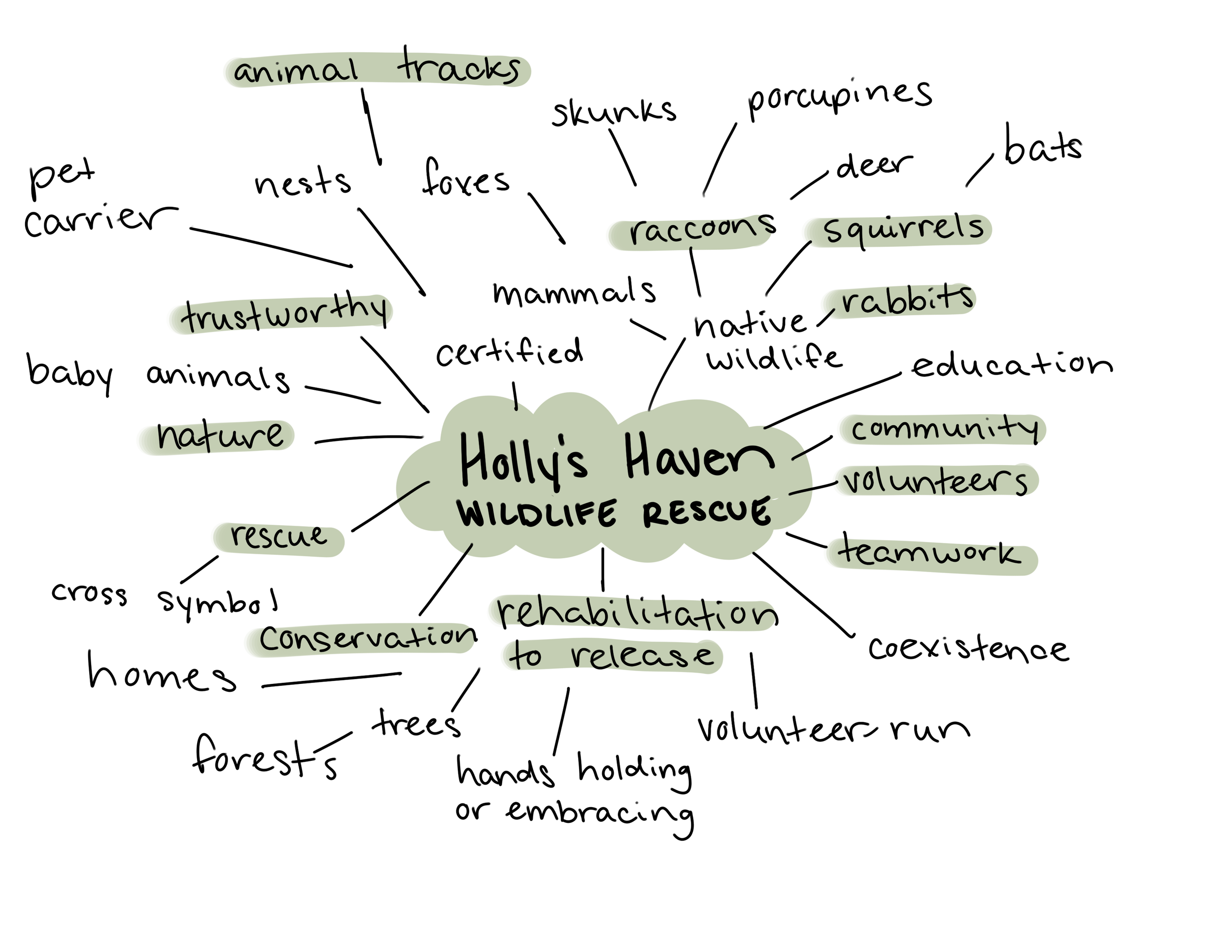 Hand-drawn mind map centered on "Holly's Haven Wildlife Rescue" with branching keywords about wildlife, rescue, and community.