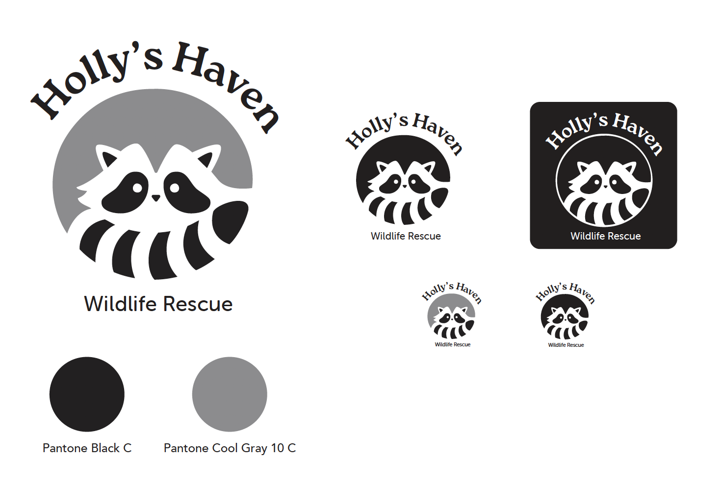Holly's Haven logo design sheet showing raccoon branding in various sizes on white and black backgrounds with color specifications.