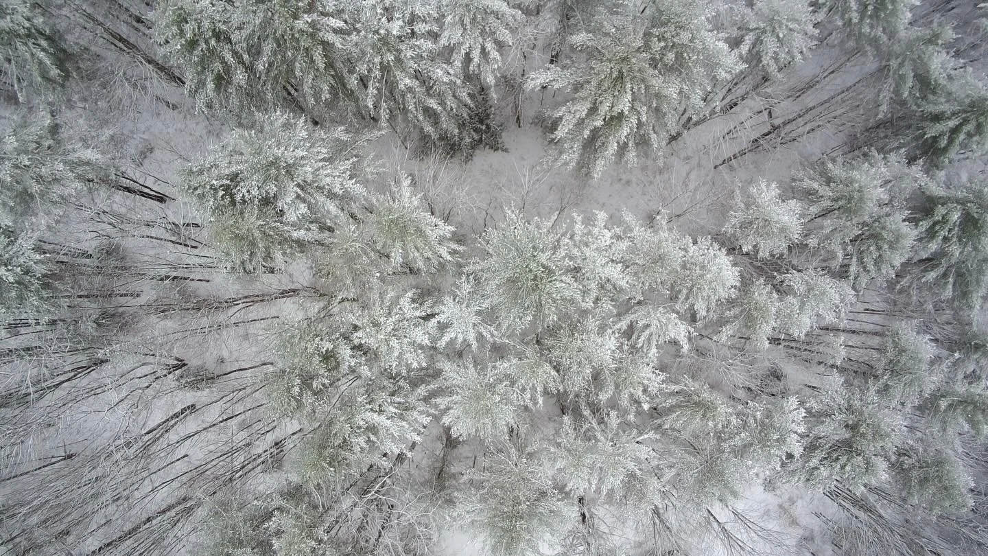 First snow fall, Ski season is here!! #ski #snowfall