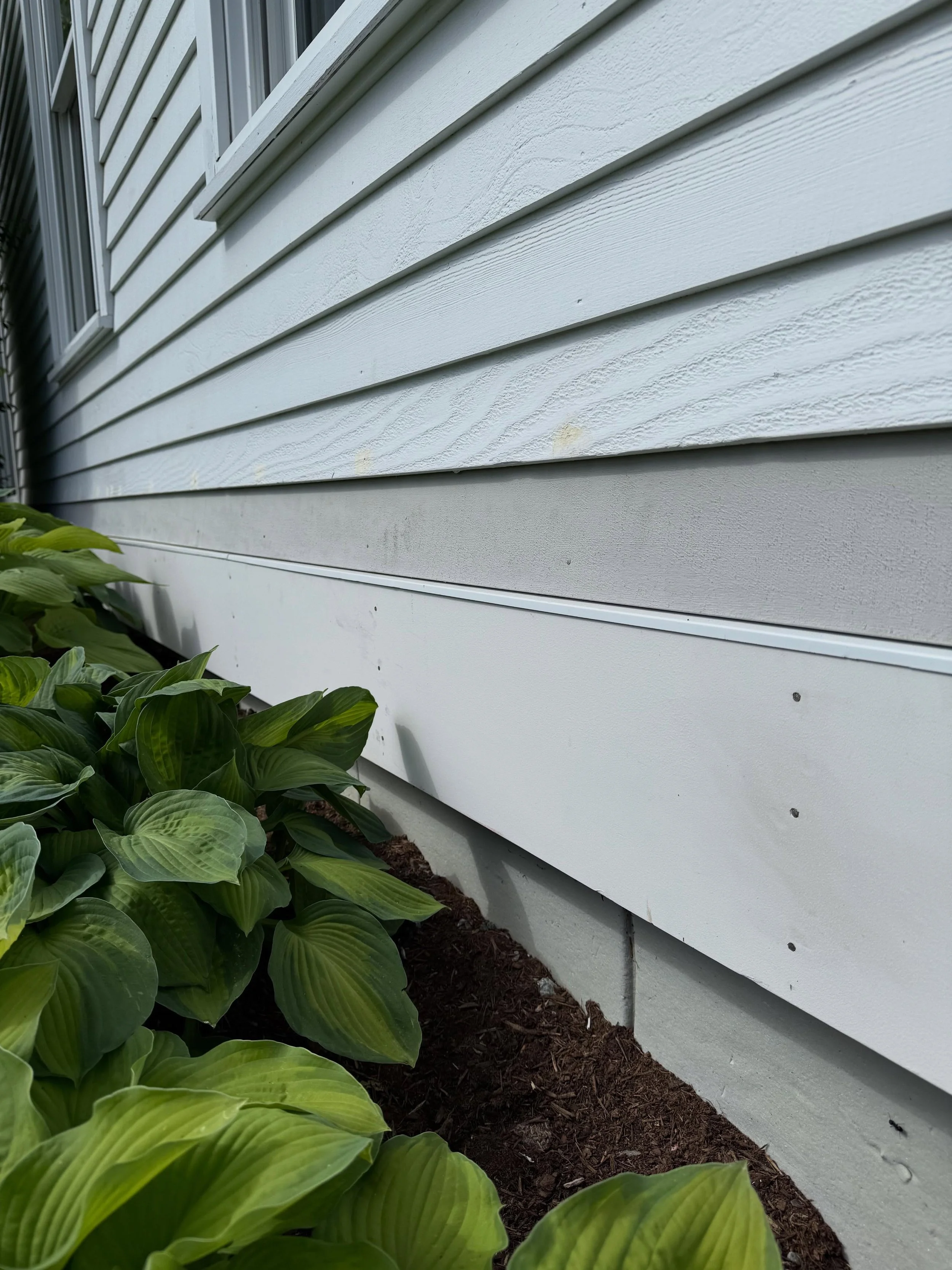 5/4 Skirting replacement, with added drip cap and a new bottom piece of cedar siding. Caulked wood filled and ready for paint! 

-Lifespan Material 

-
-
-
#carpentry #building #dewalt