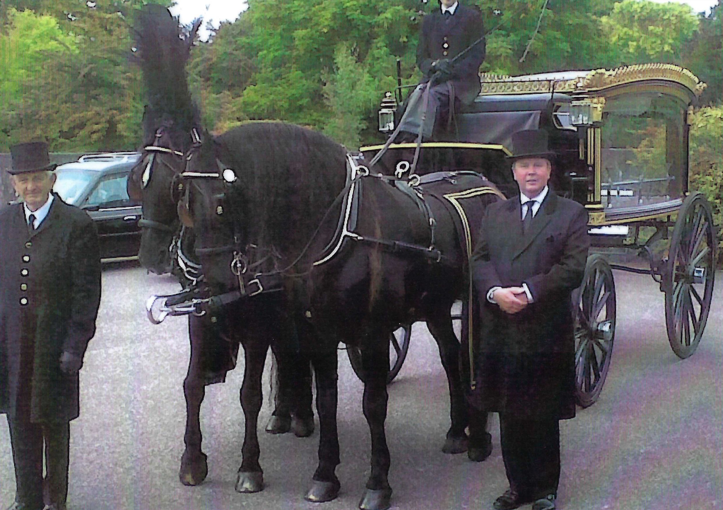 horsedrawnn.jpg