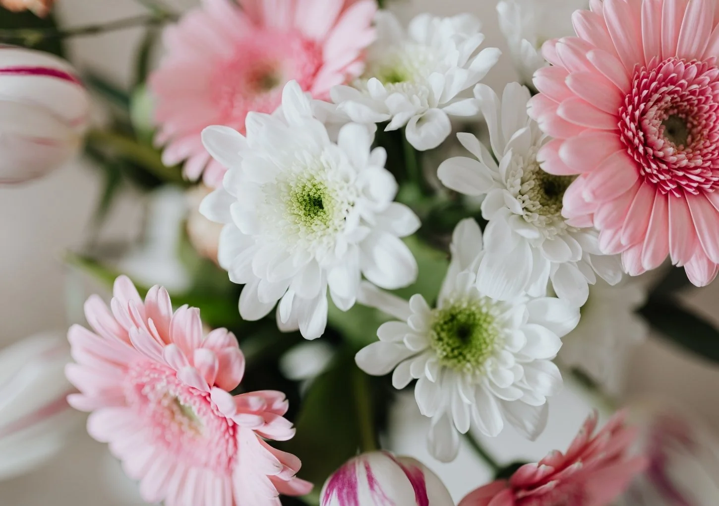 Sound Healing Session