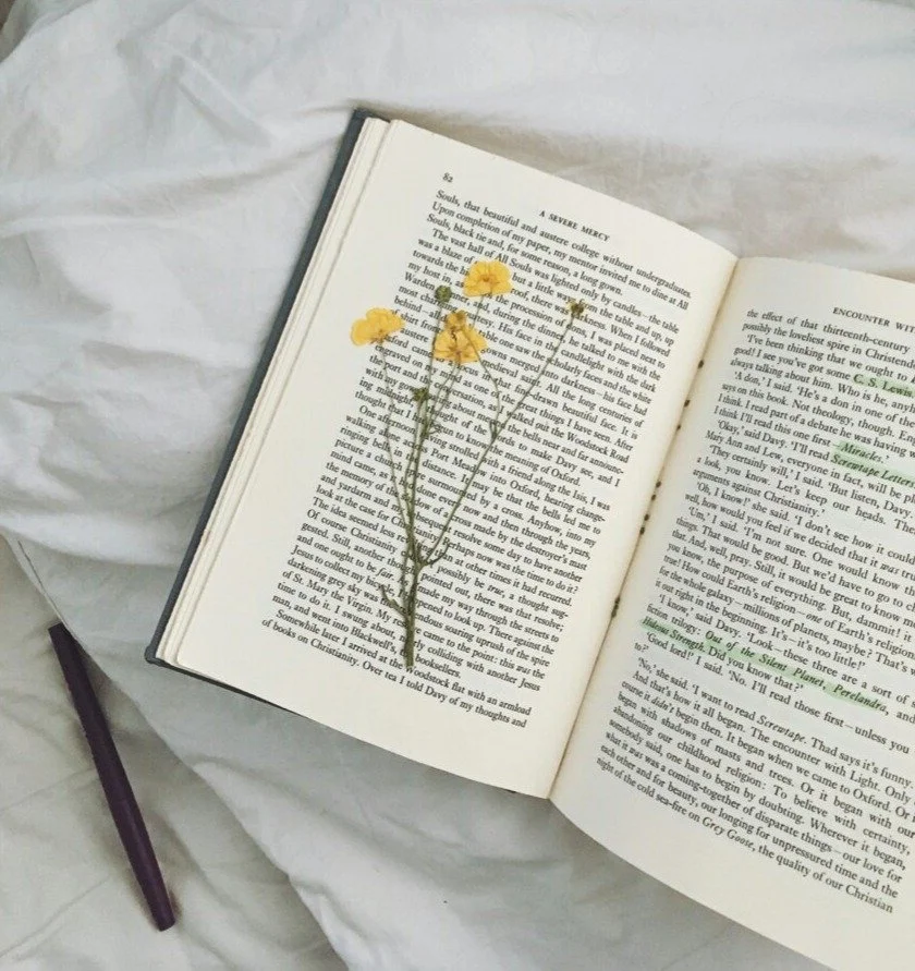 Before You Hire a Developmental Editor, Do This First