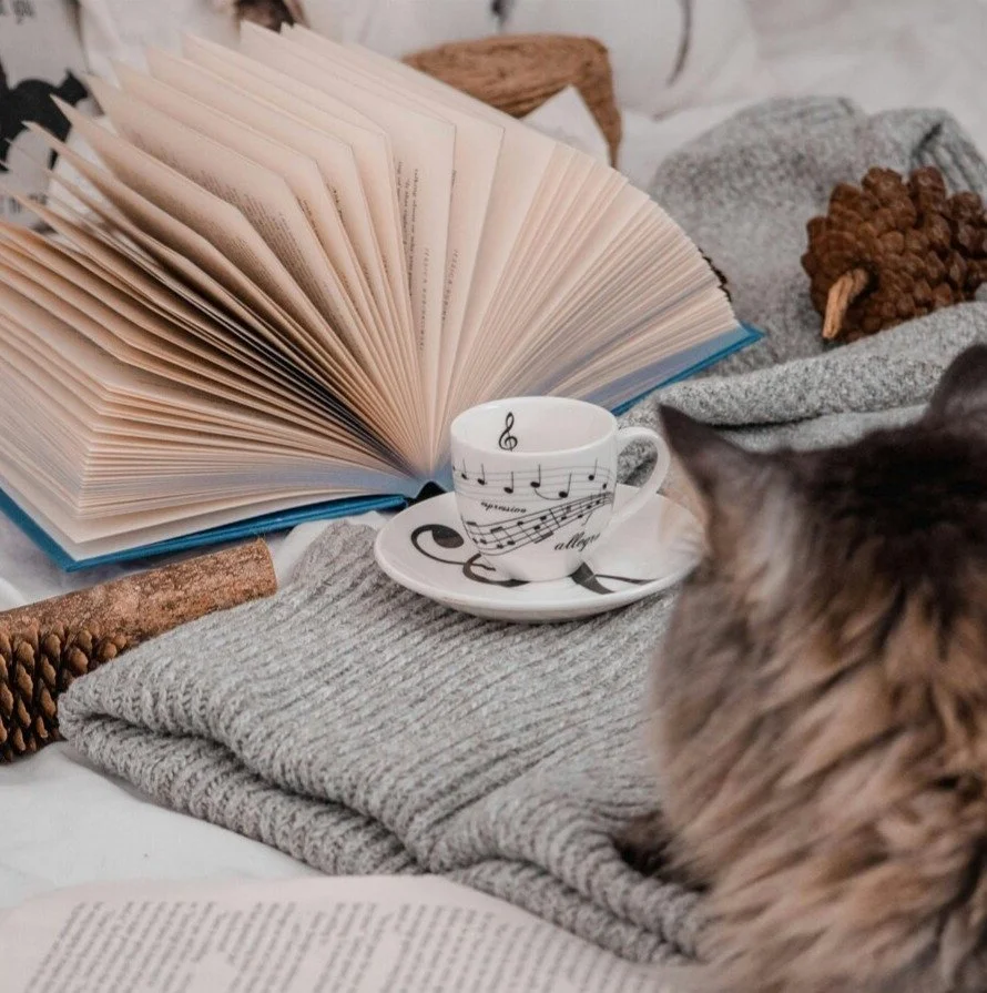 Finished Your Draft? Here’s How to Revise Your Romance Novel Properly