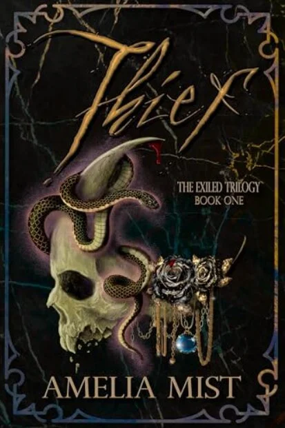 Book cover for Thief
