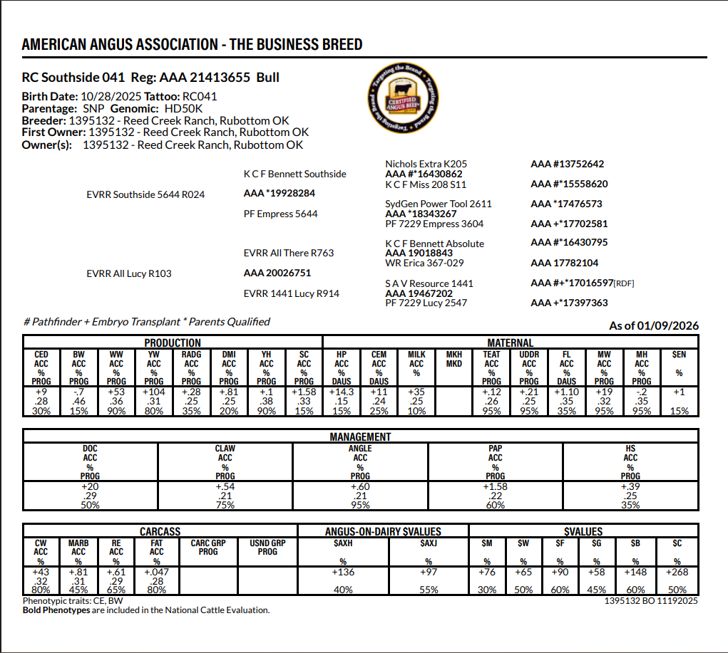 A detailed report from the American Angus Association for a specific Angus bull, including registration, pedigree, production, maternal, management, carcass, and market value data.