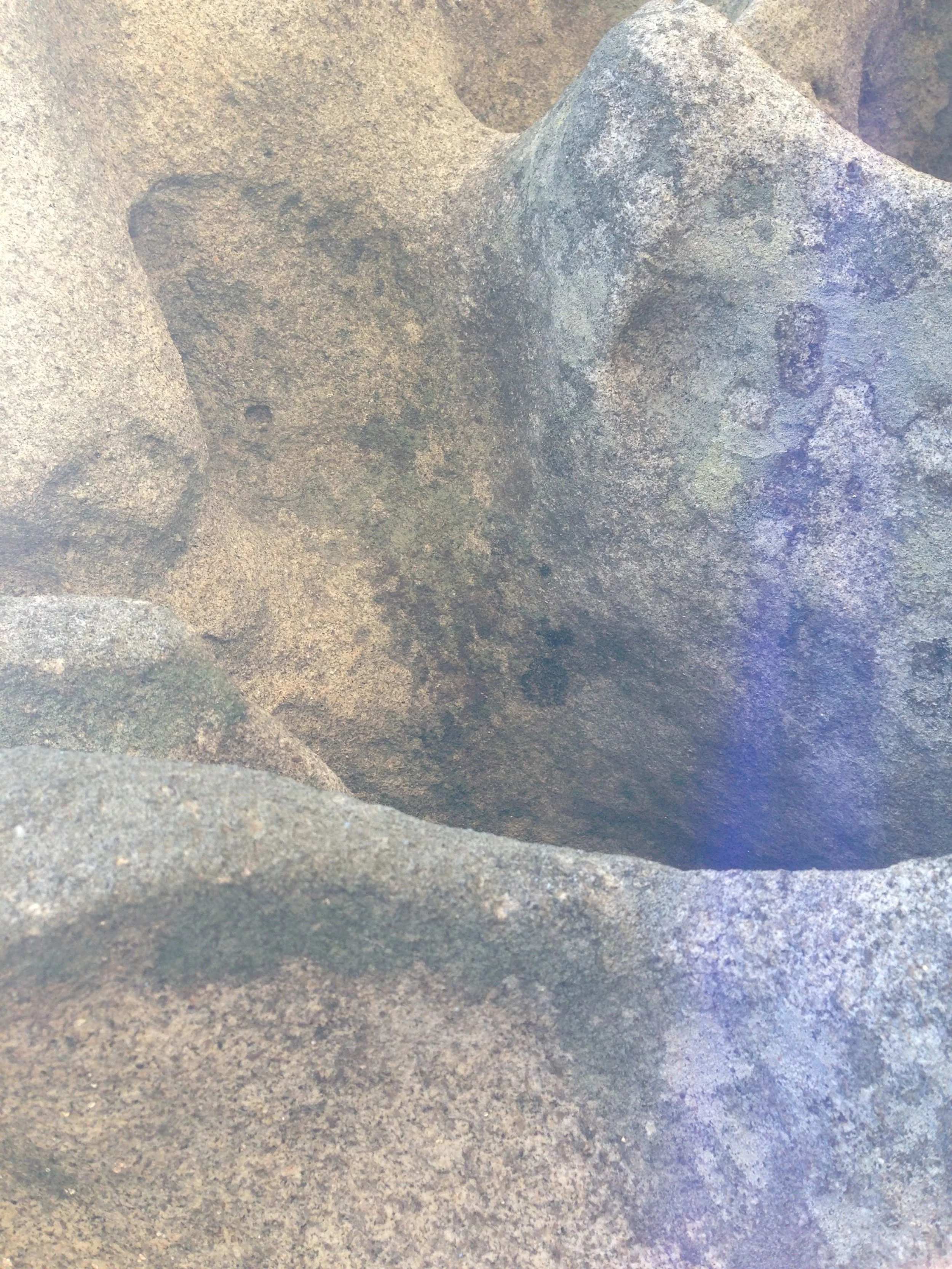 Saminger_shapenstructure (28).JPG