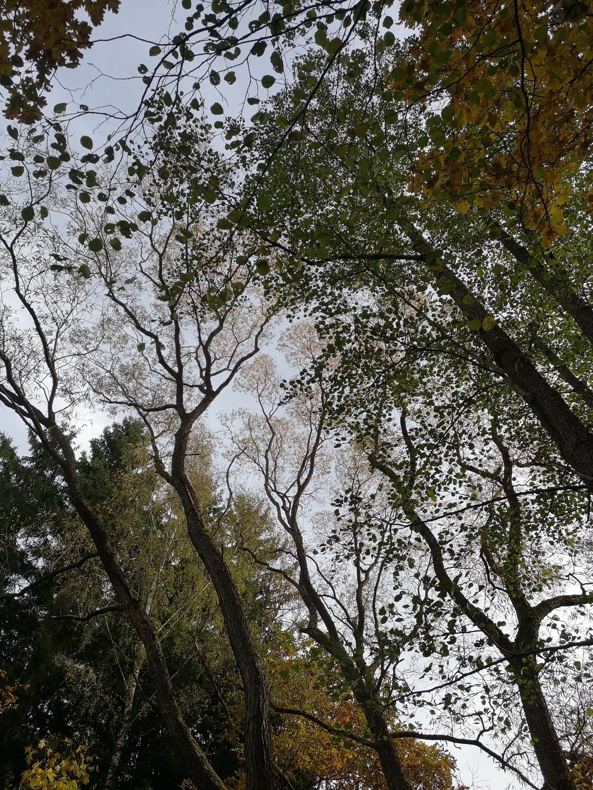 Saminger_shapenstructure (66).jpg