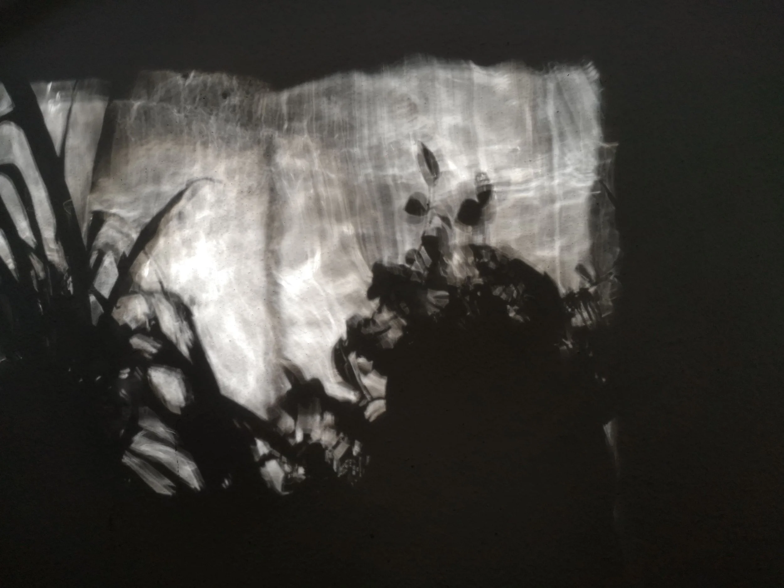 Saminger_shapenstructure (24).jpg