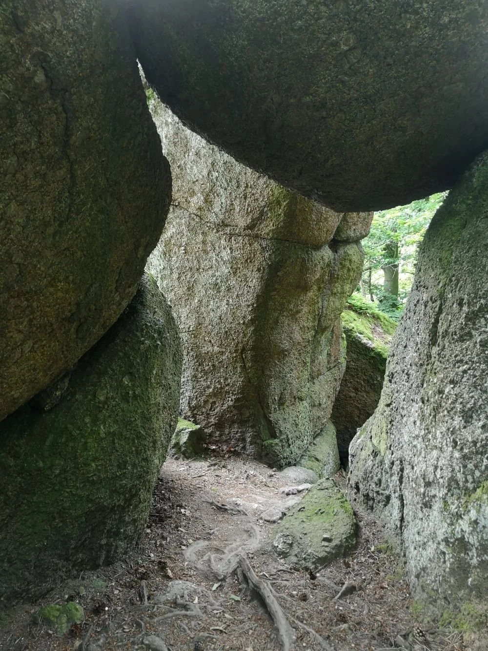 Saminger_shapenstructure (56).jpg