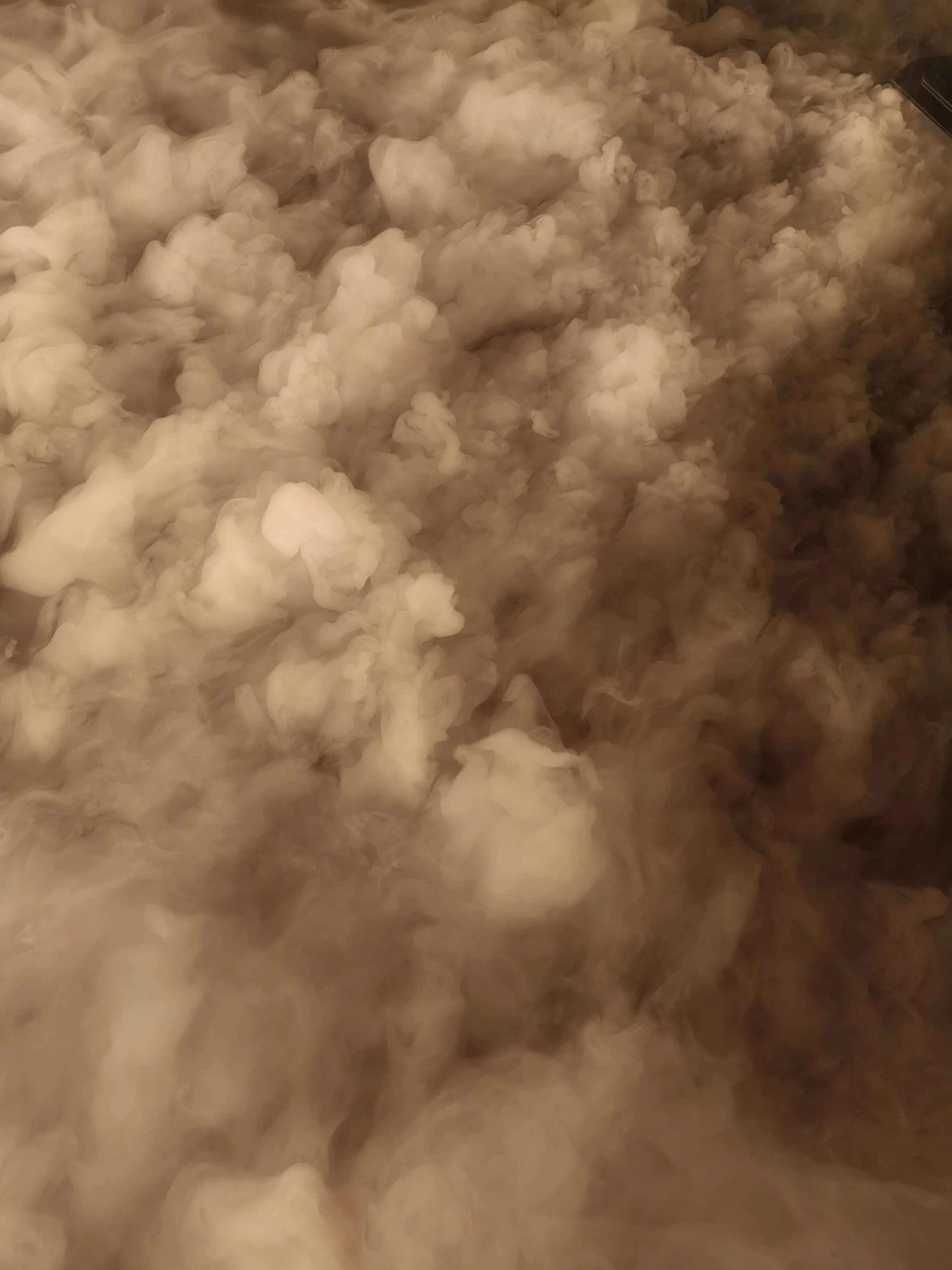 Saminger_Licht (52).jpg