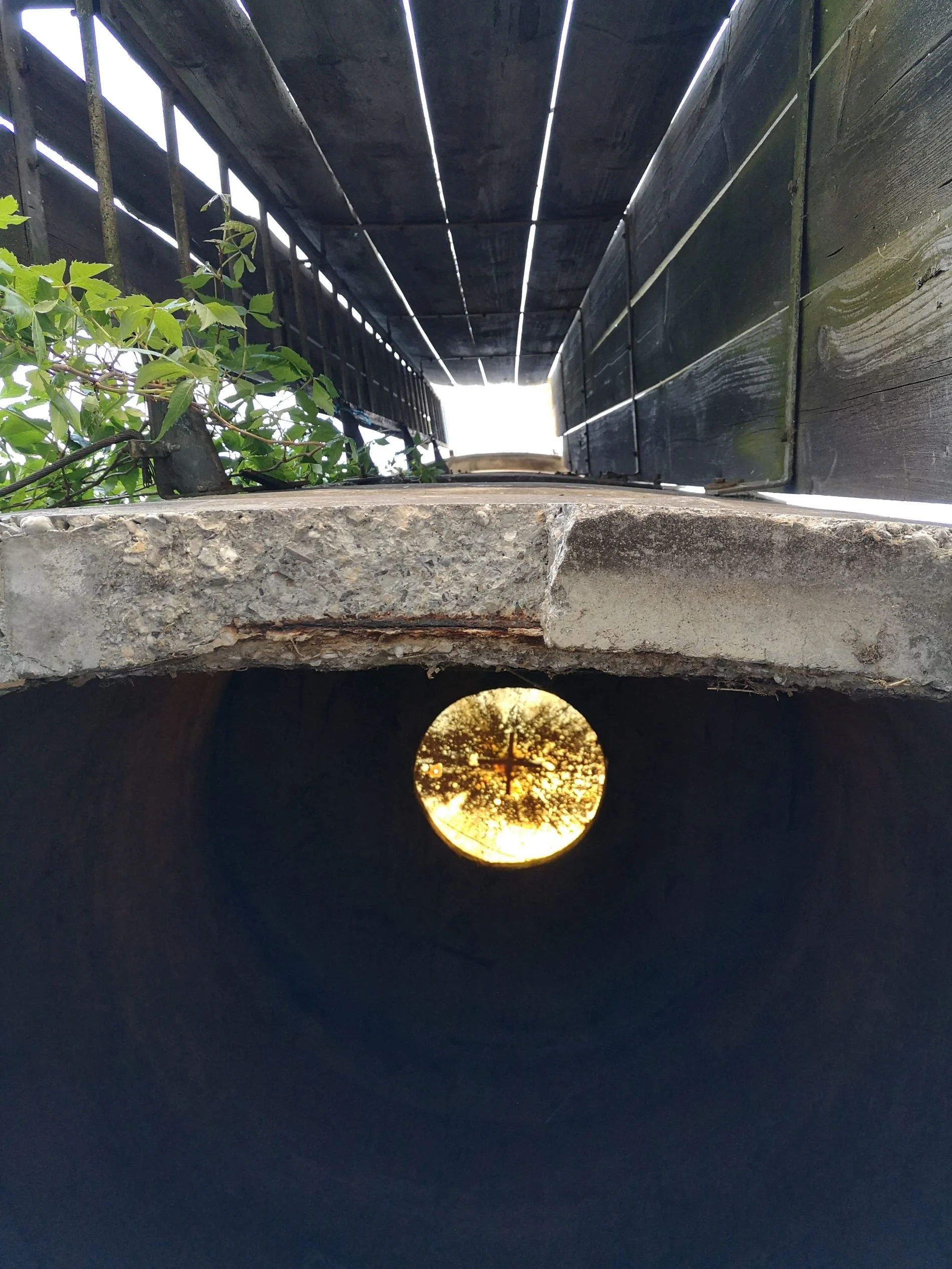 Saminger_shapenstructure (21).jpg