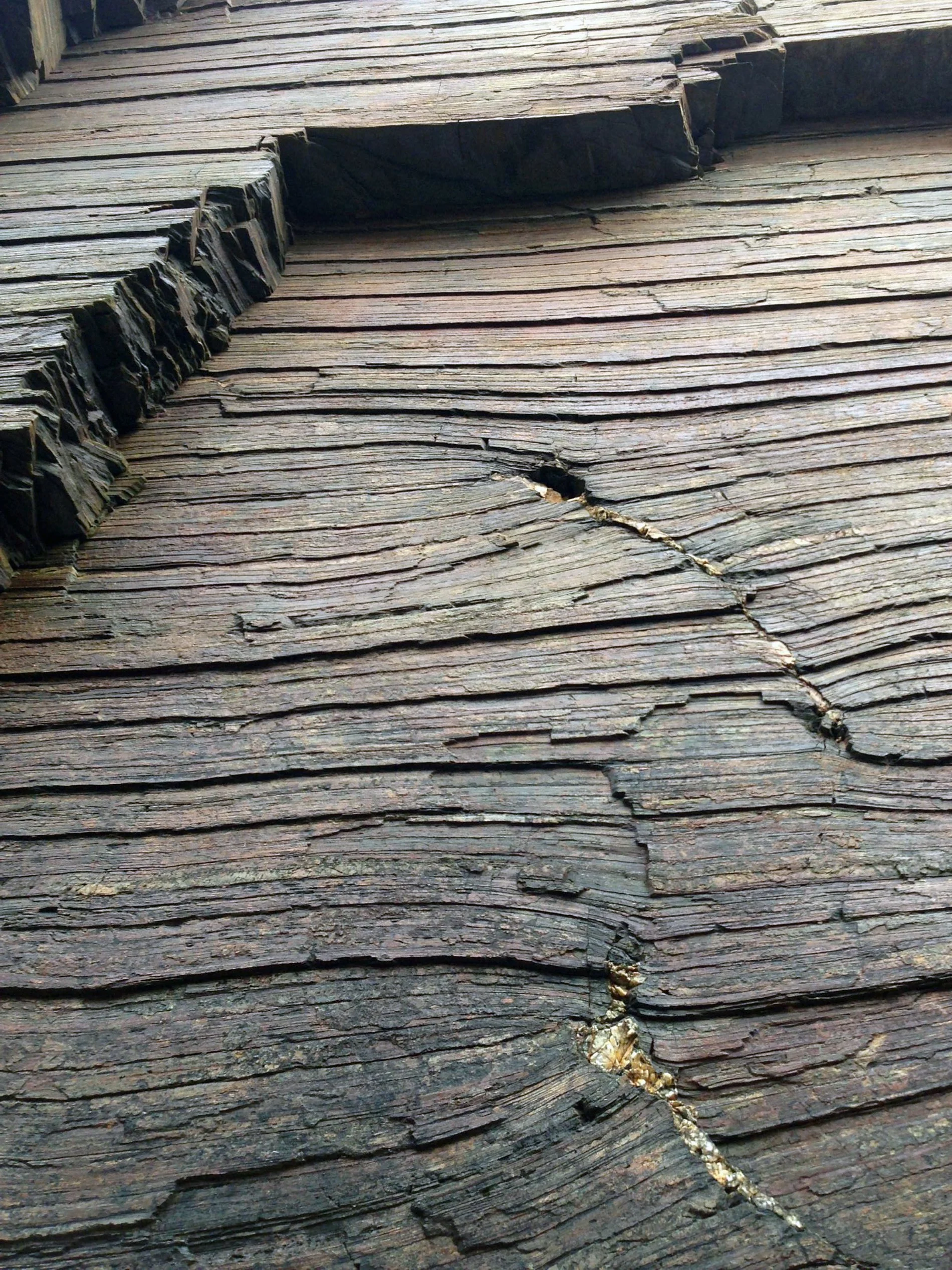 Saminger_shapenstructure (32).JPG