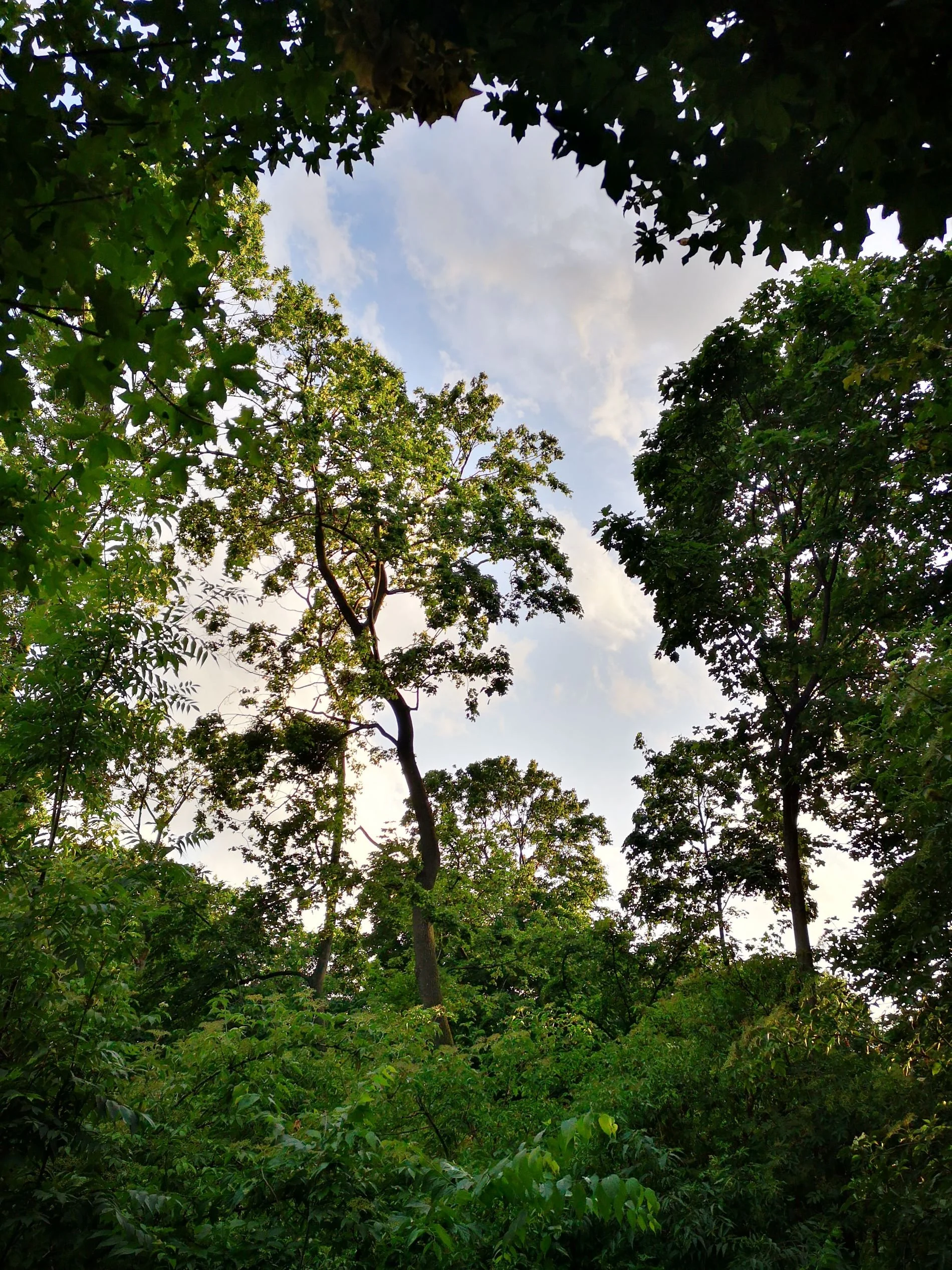 Saminger_shapenstructure (63).jpg