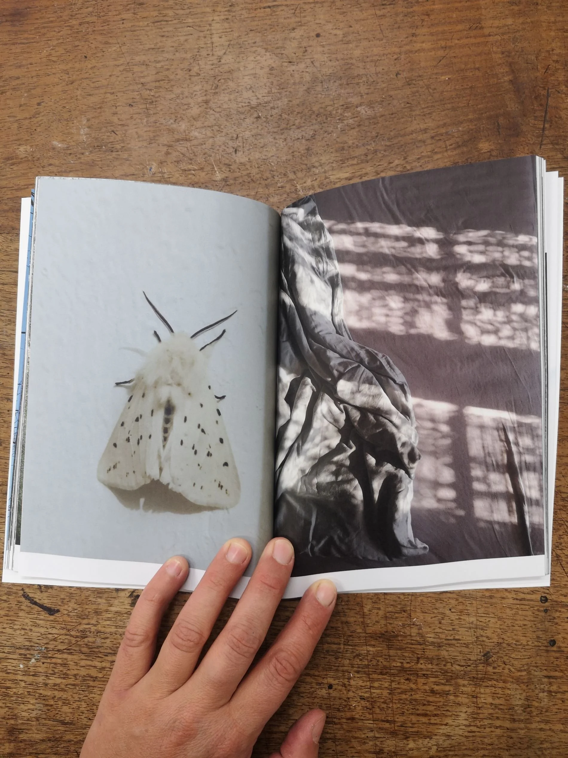 Saminger_shapenstructure (2).jpg