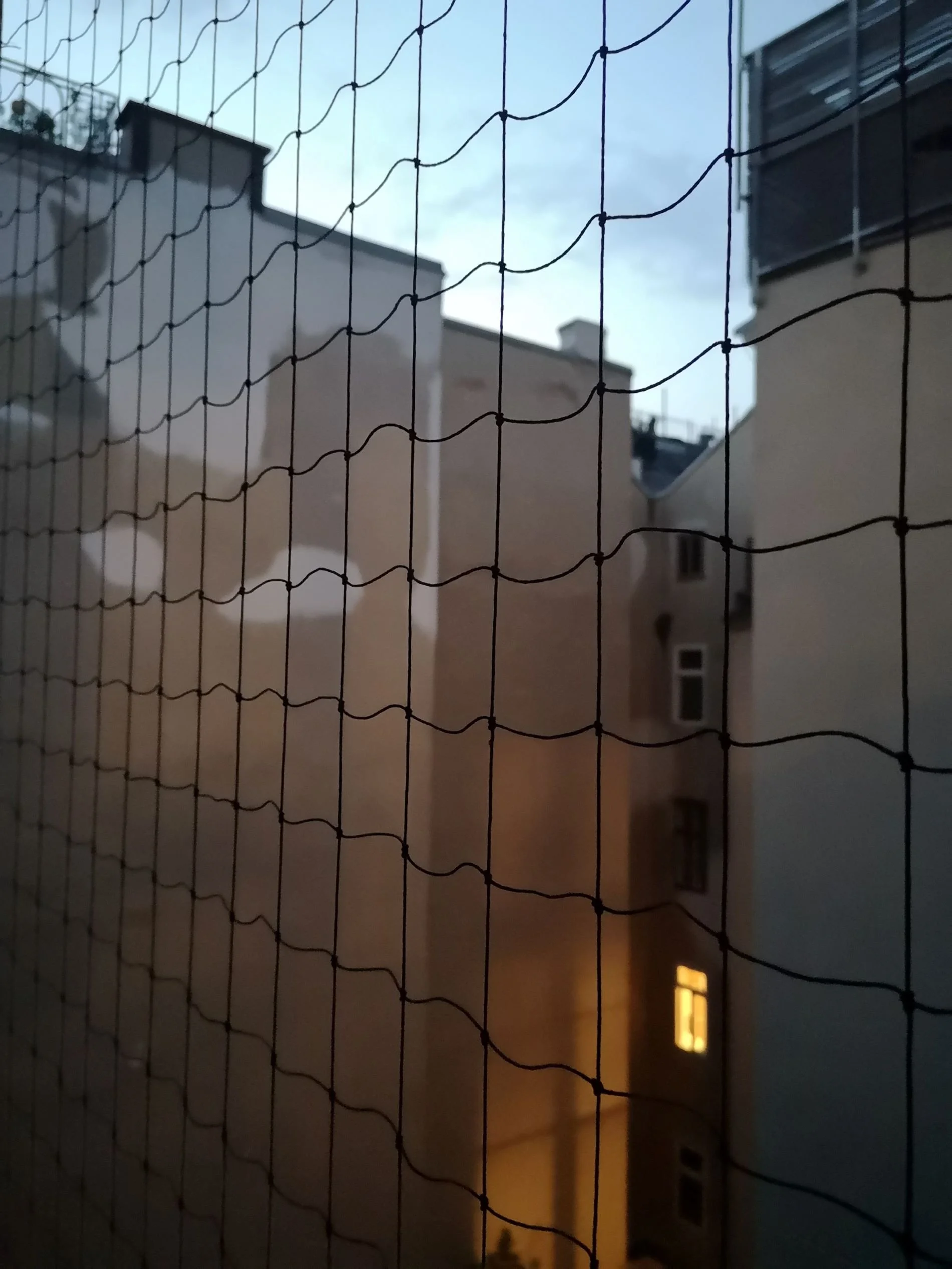 Saminger_shapenstructure (44).jpg