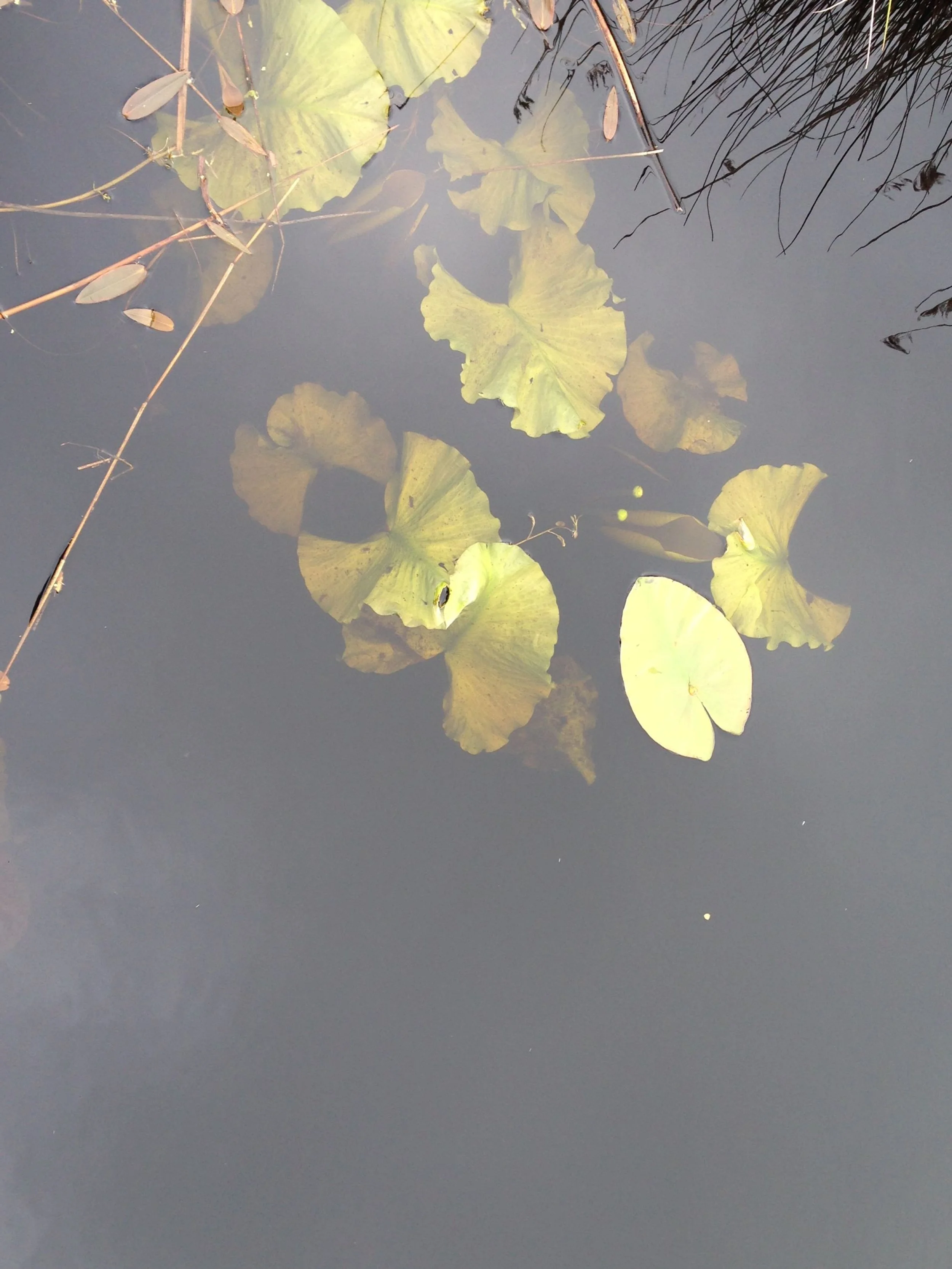 Saminger_shapenstructure (13).JPG