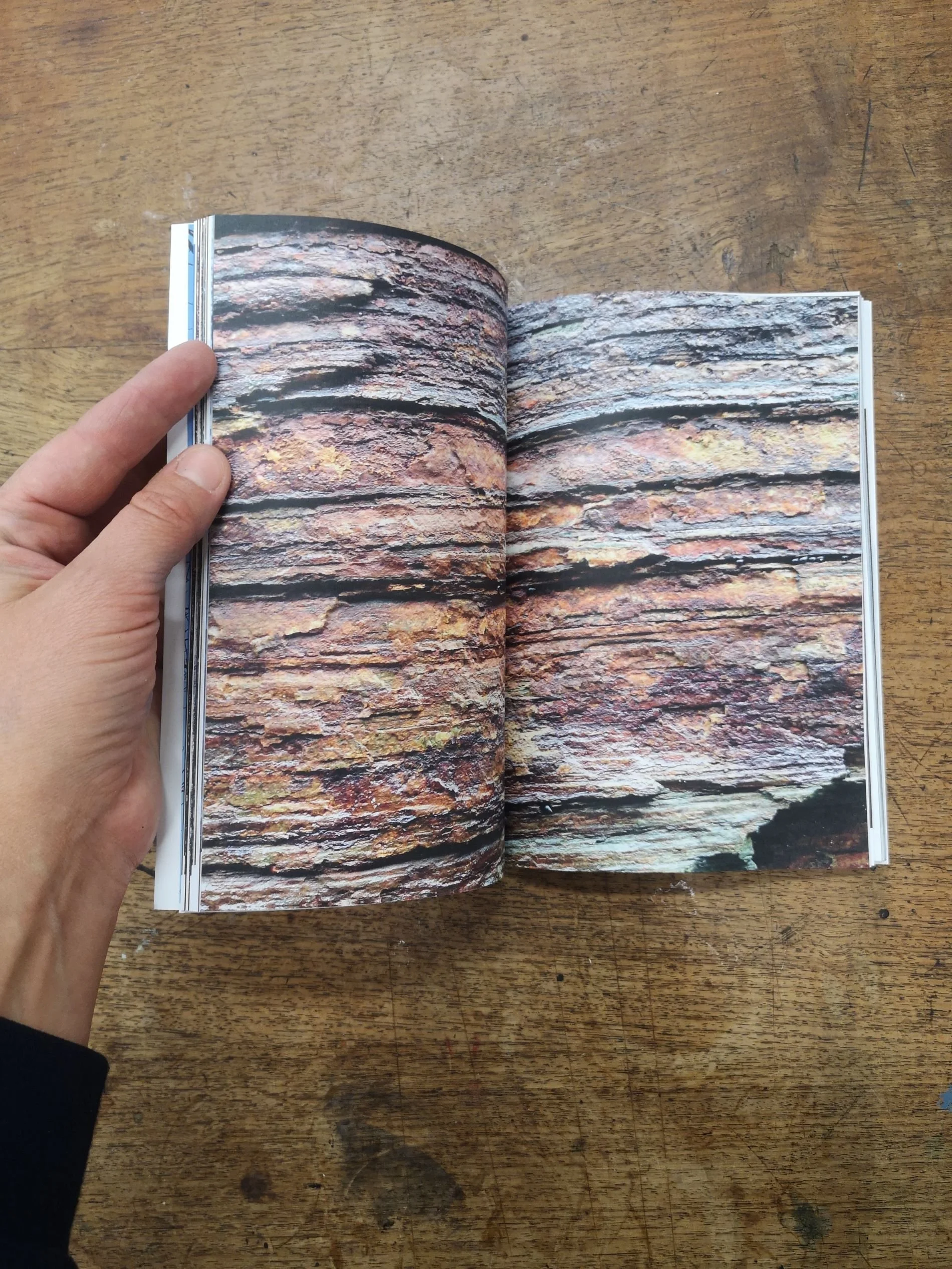 Saminger_shapenstructure (3).jpg