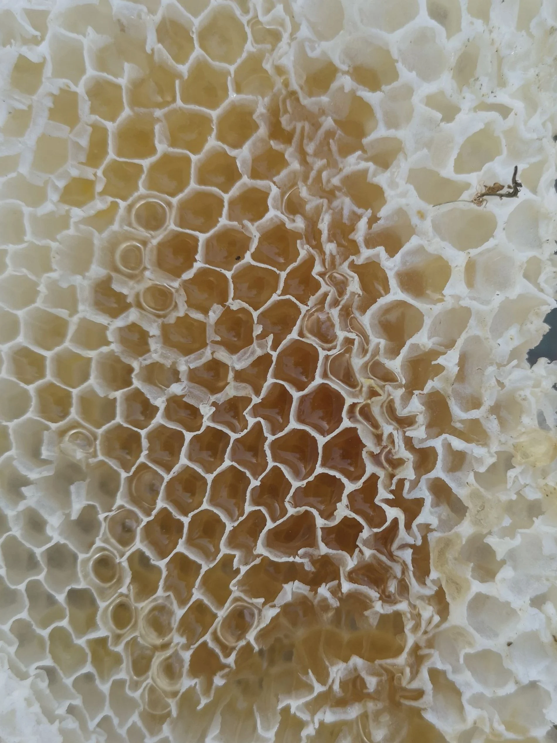 Saminger_shapenstructure (36).jpg