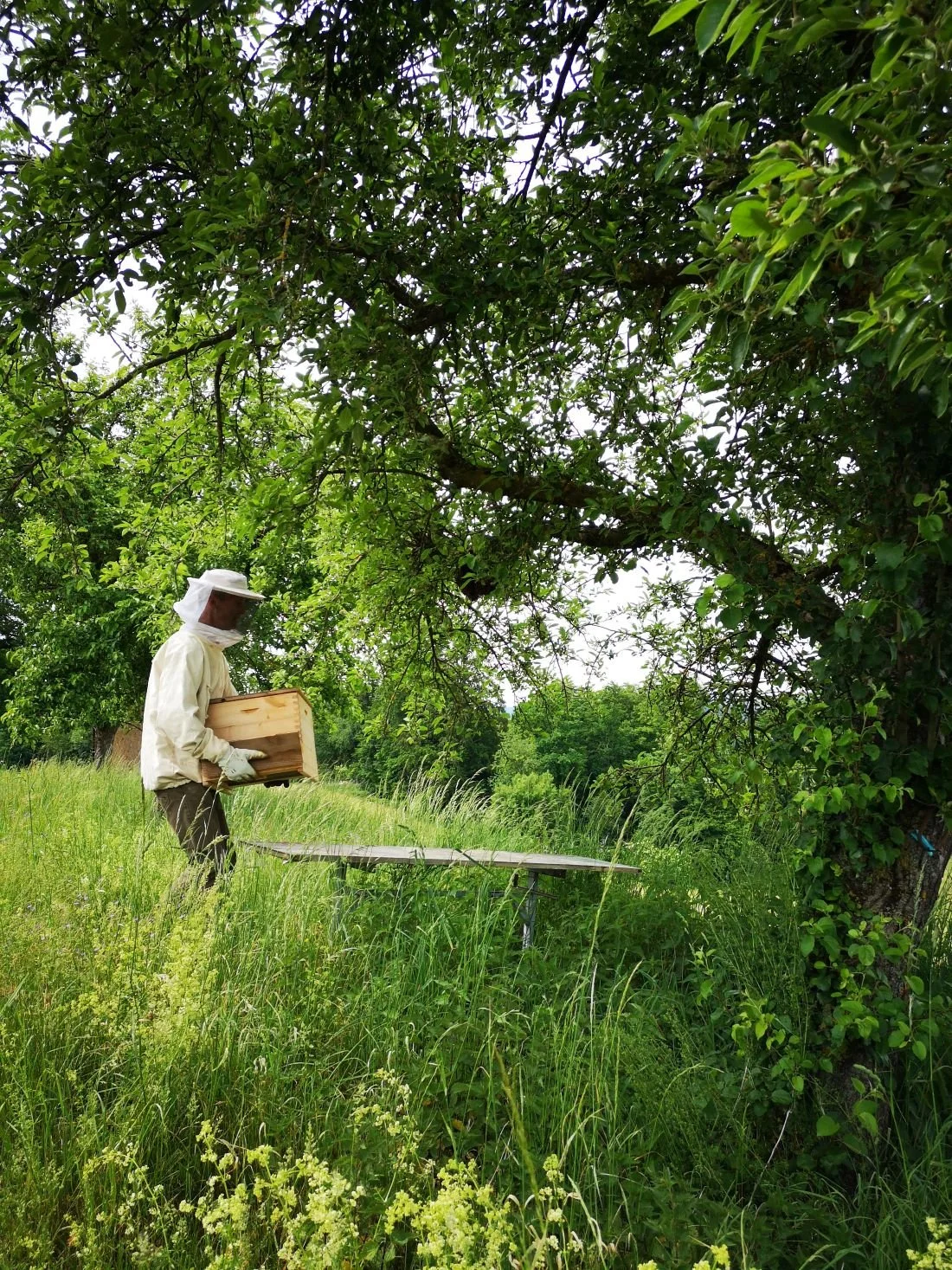 Saminger_shapenstructure (30).jpg