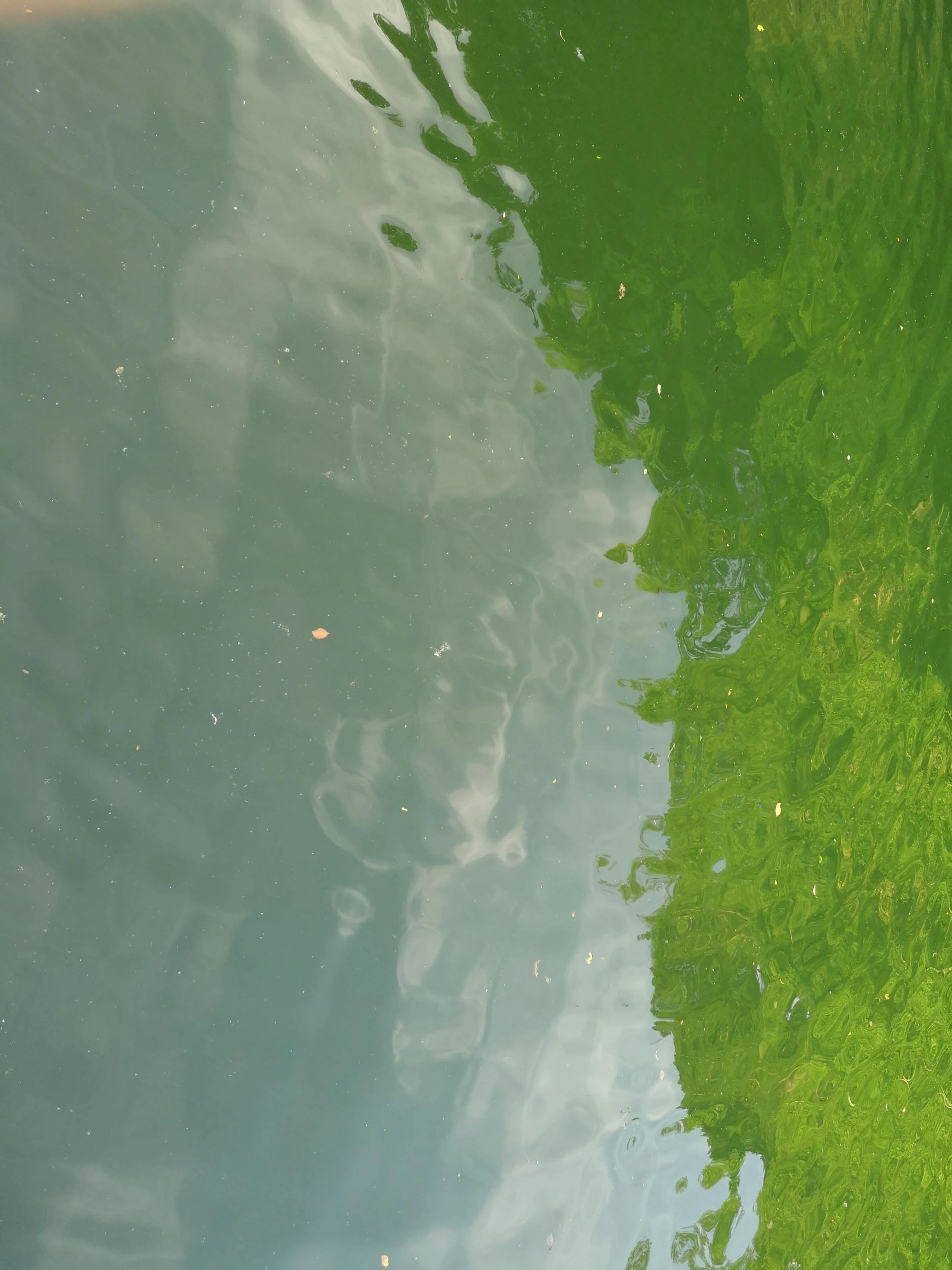 Saminger_shapenstructure (57).jpg