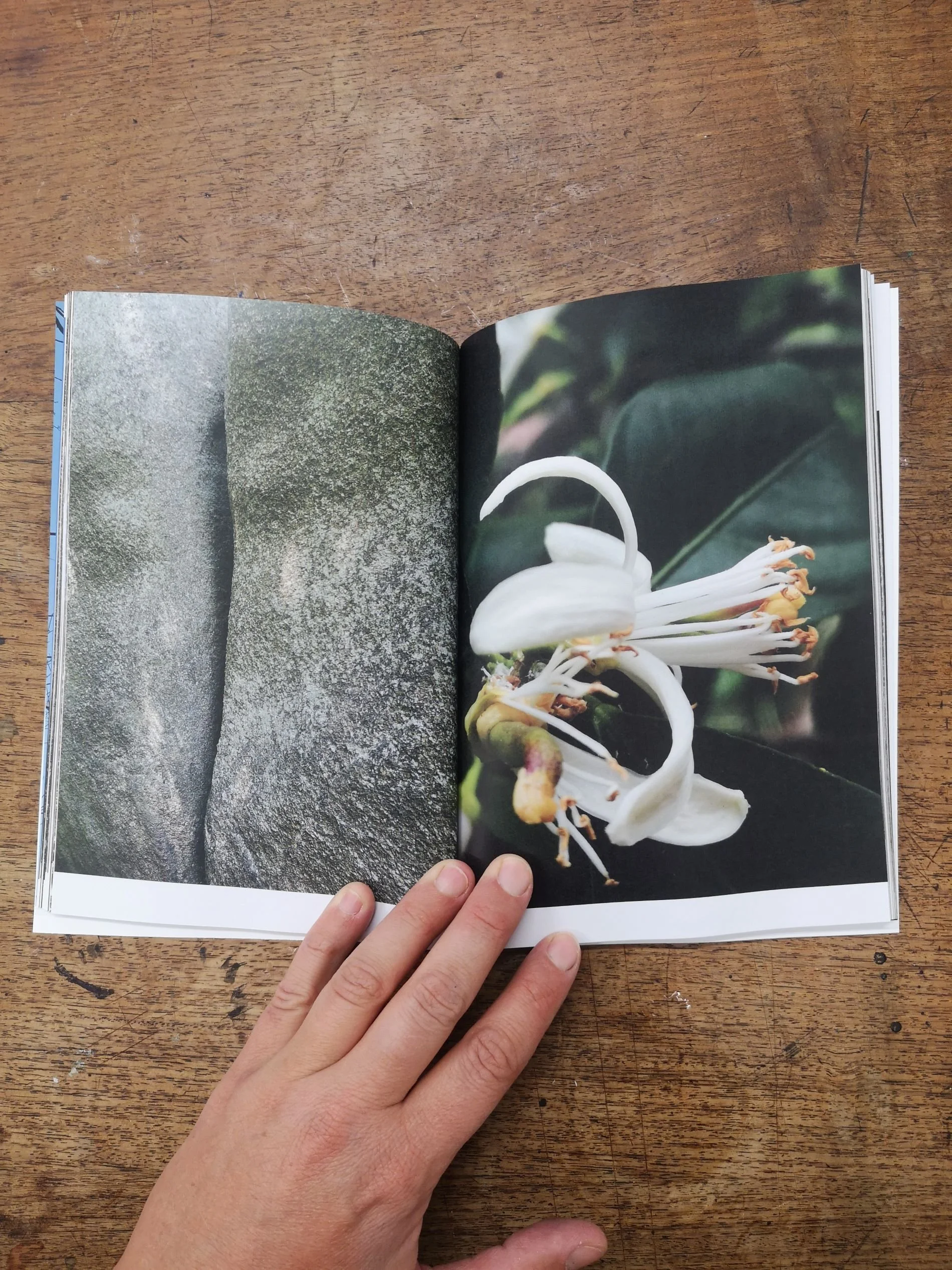 Saminger_shapenstructure (1).jpg