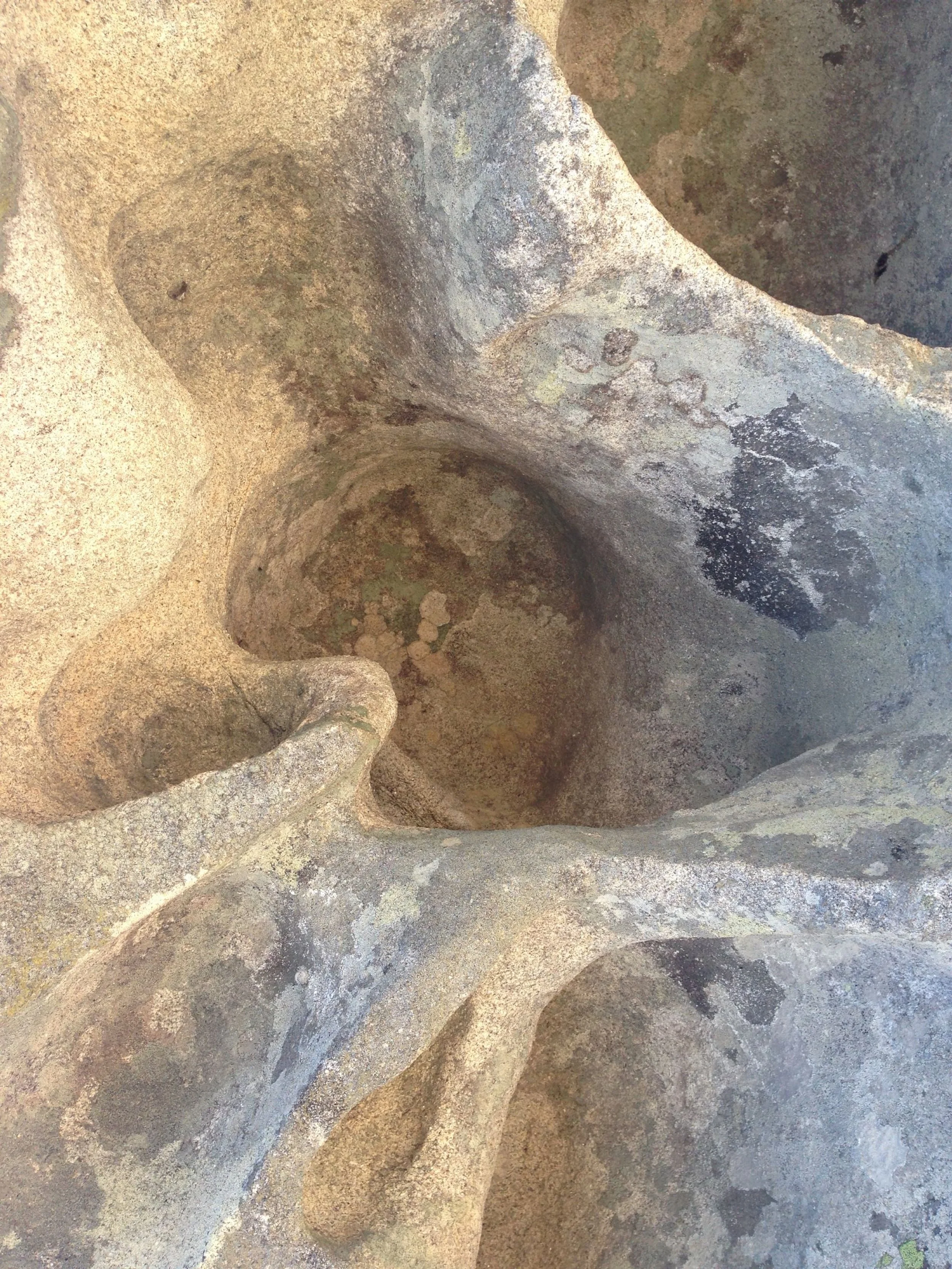 Saminger_shapenstructure (7).JPG