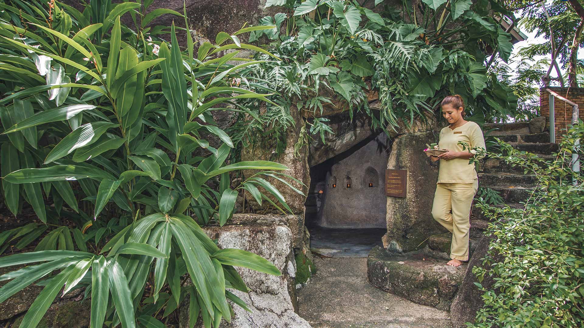 Sustainable nutritious food grown locally or even in resort.