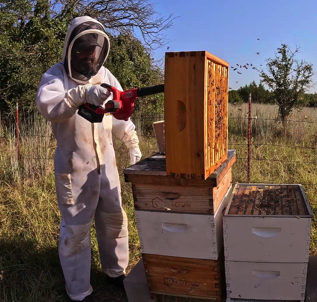 A person in protective beekeeping gear harvesting honey from a  wooden beehive box outdoors, with other beehive boxes nearby and a field in the background.