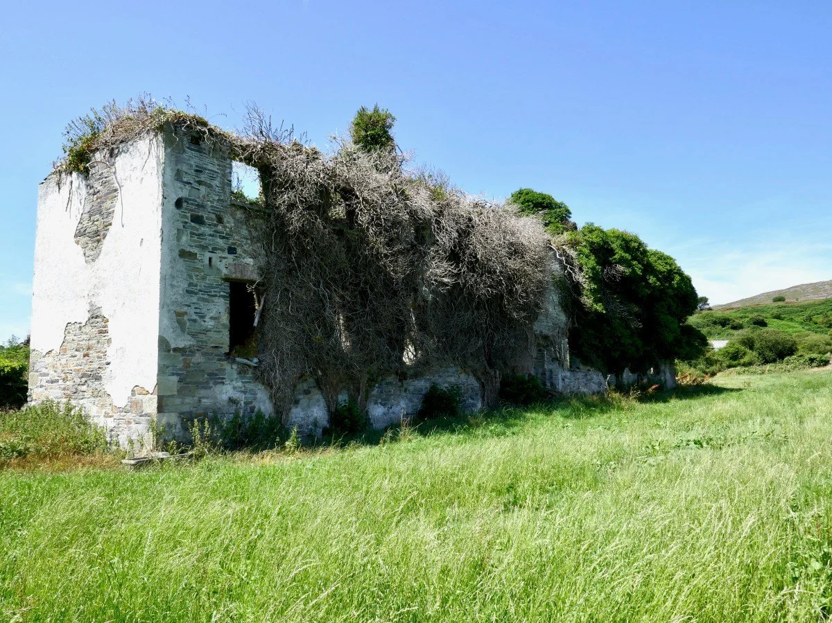 Hidden Women of the West Cork Revolution