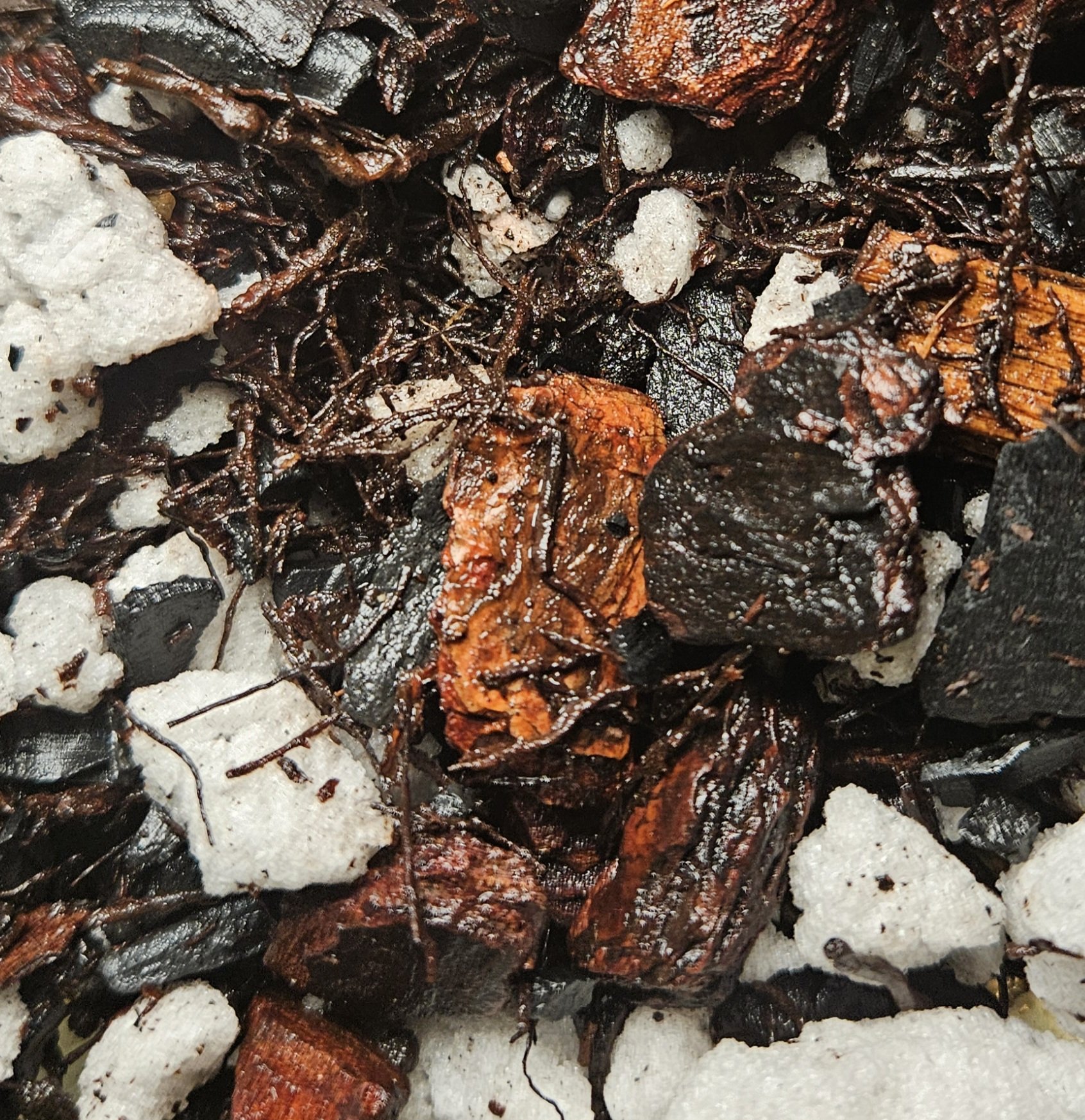 V&V Tropicals Super Chunky Aroid Soil Mix