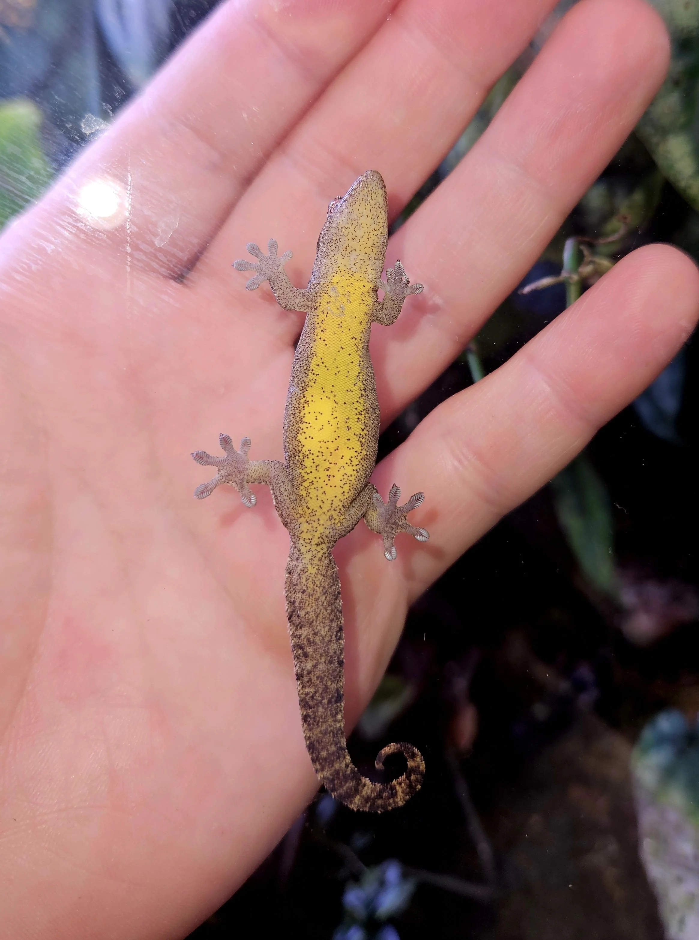 20250511_084533 (1).jpg