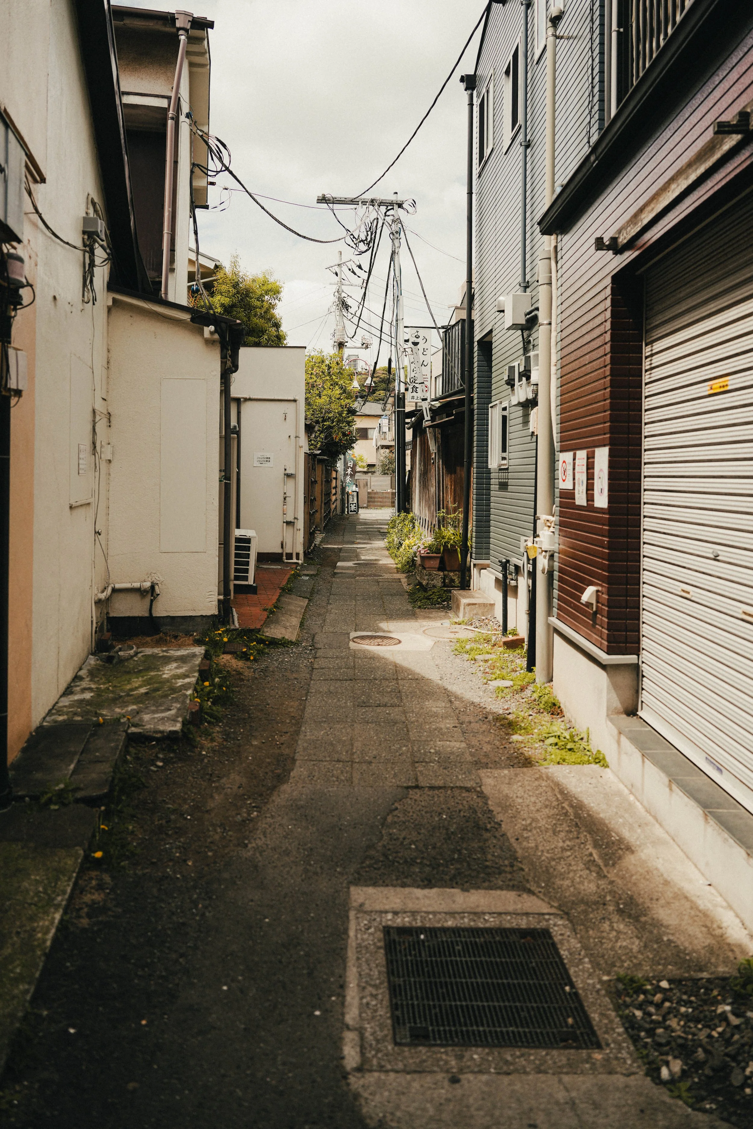 untitled-00276.jpg