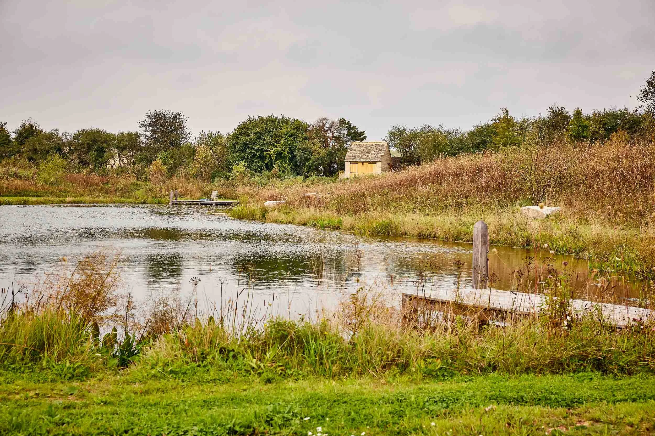 A peaceful pond with grassy banks and a wooden dock, surrounded by trees and shrubs, with a small house in the background under a cloudy sky.