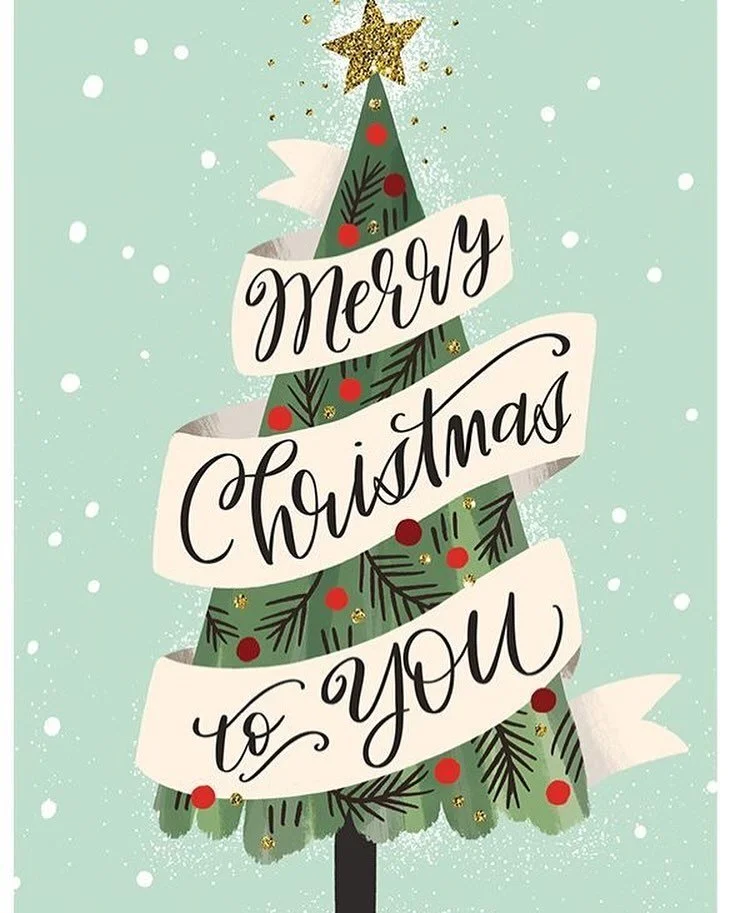 The Amelia team would like to wish everyone a very blessed Christmas! 🌲✝️❤️