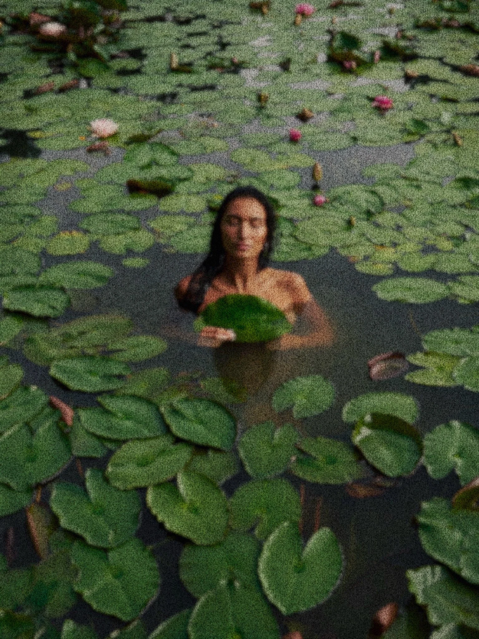 A woman with long dark hair and glasses swimming in a pond filled with green lily pads and pink water lilies.