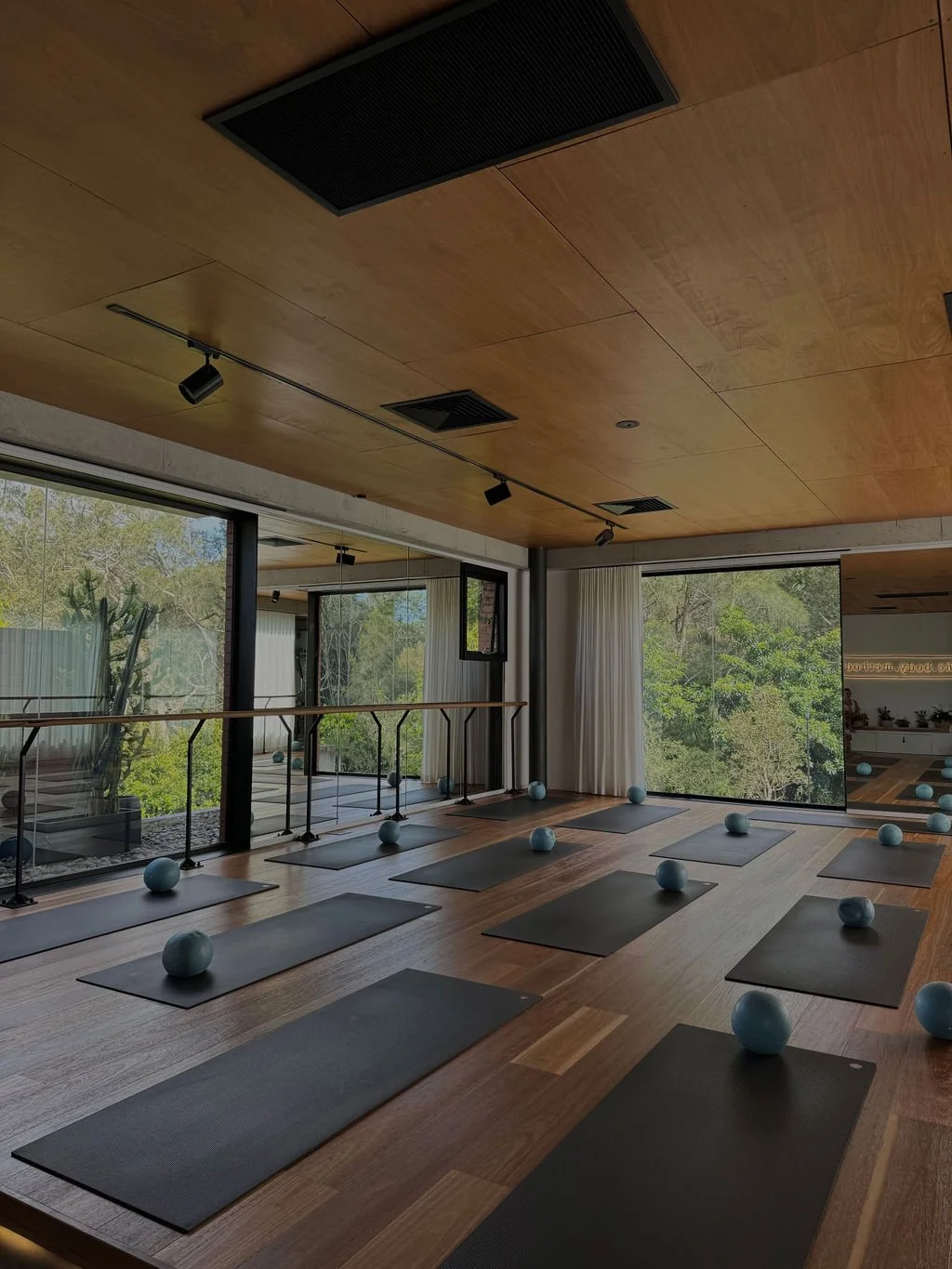 Yoga studio with mats and exercise balls near large windows with greenery outside.