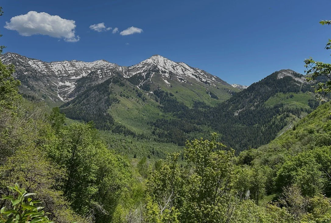 Getting Strength Training Right During Ultramarathon Season