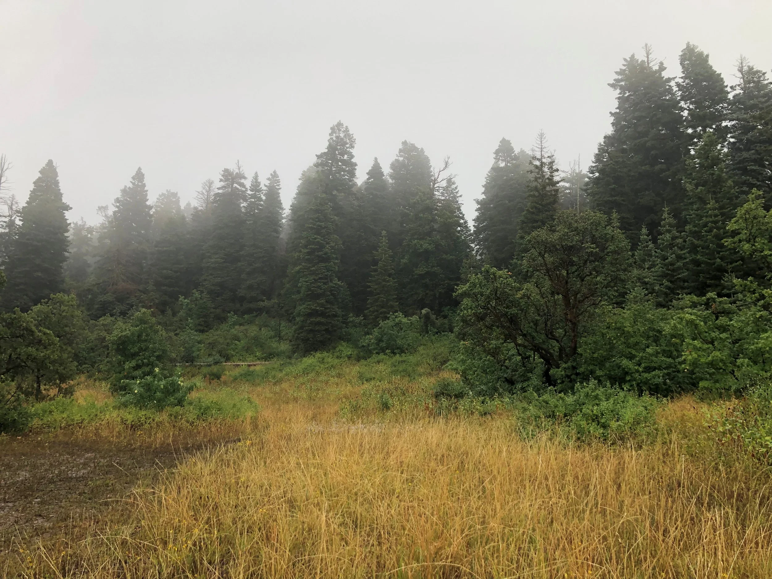 Train Your Nervous System to Avoid Injury